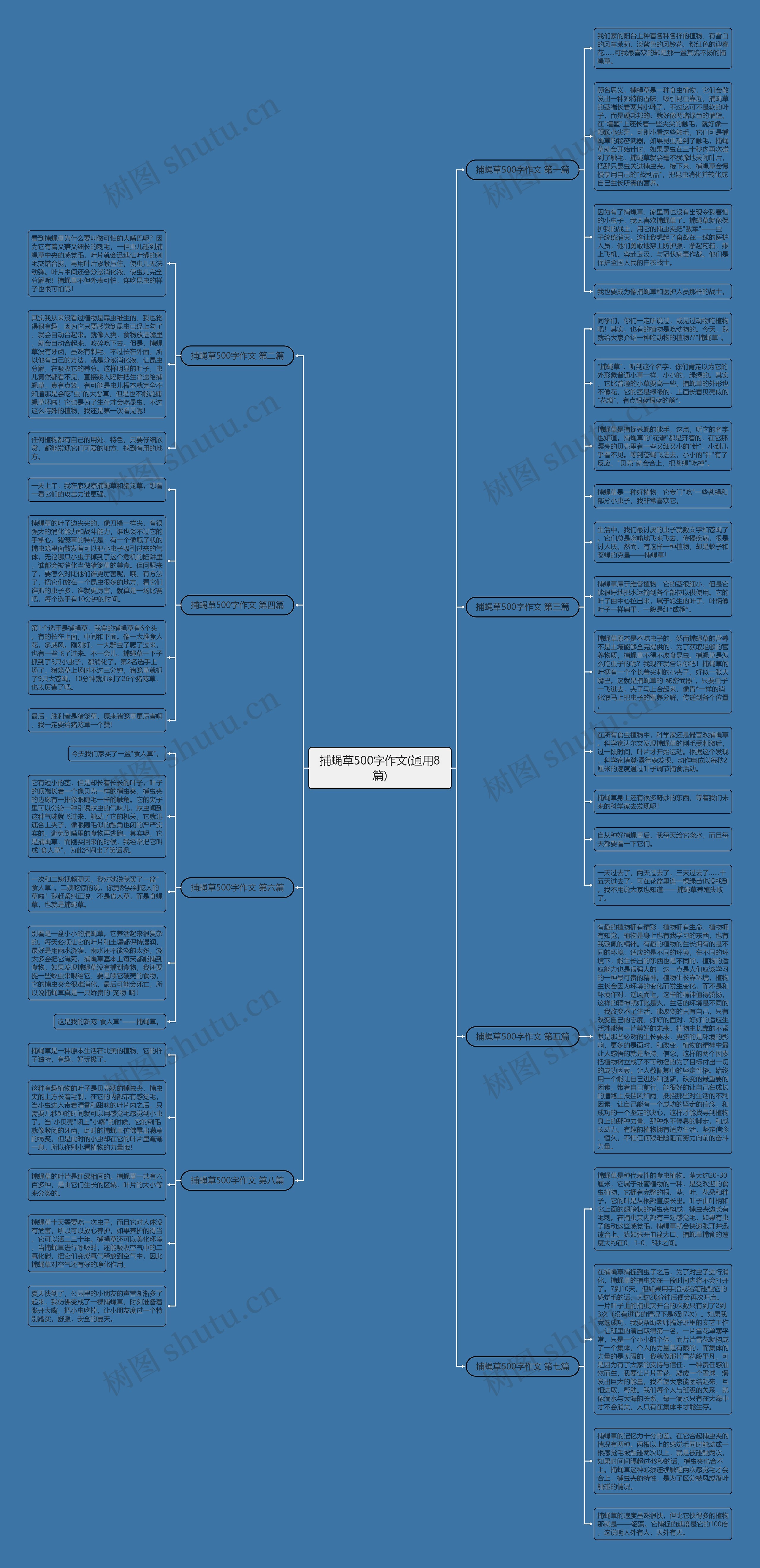 捕蝇草500字作文(通用8篇)思维导图