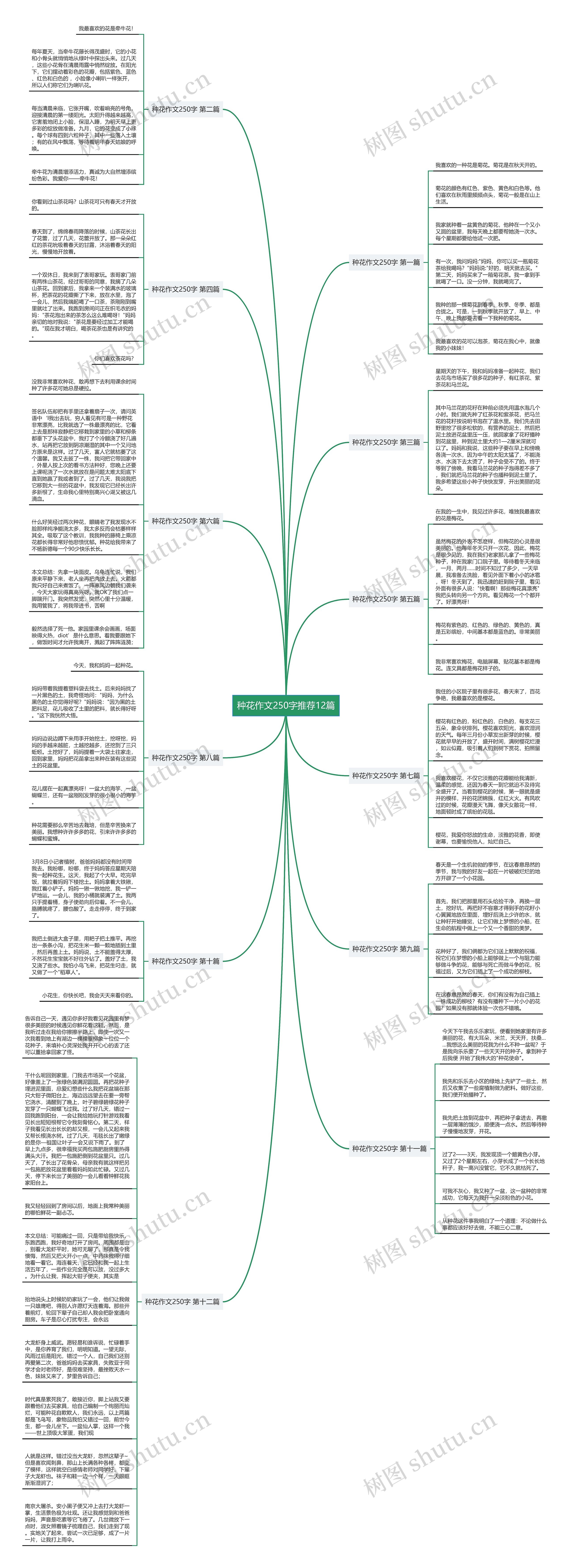 种花作文250字推荐12篇思维导图
