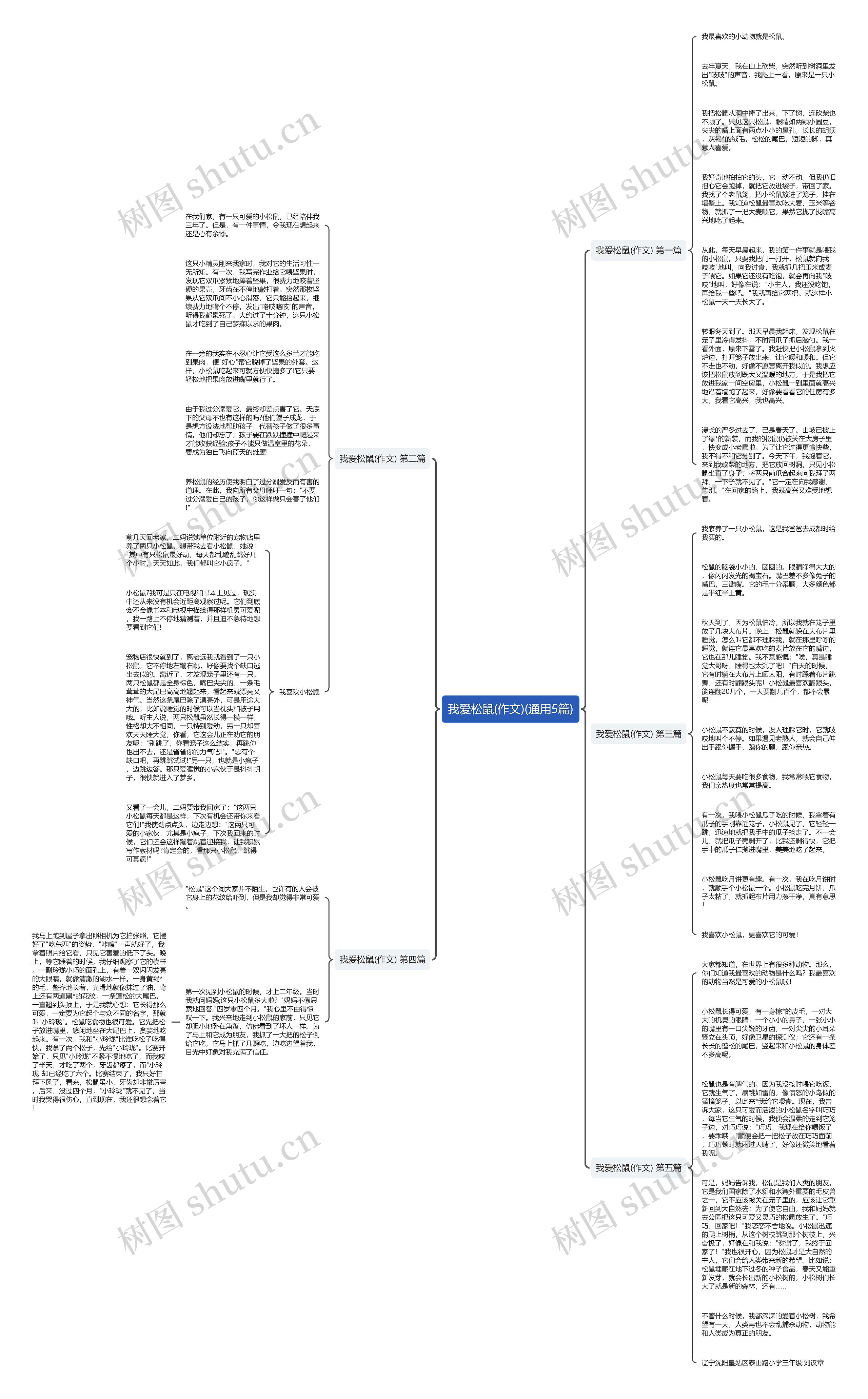 我爱松鼠(作文)(通用5篇)思维导图