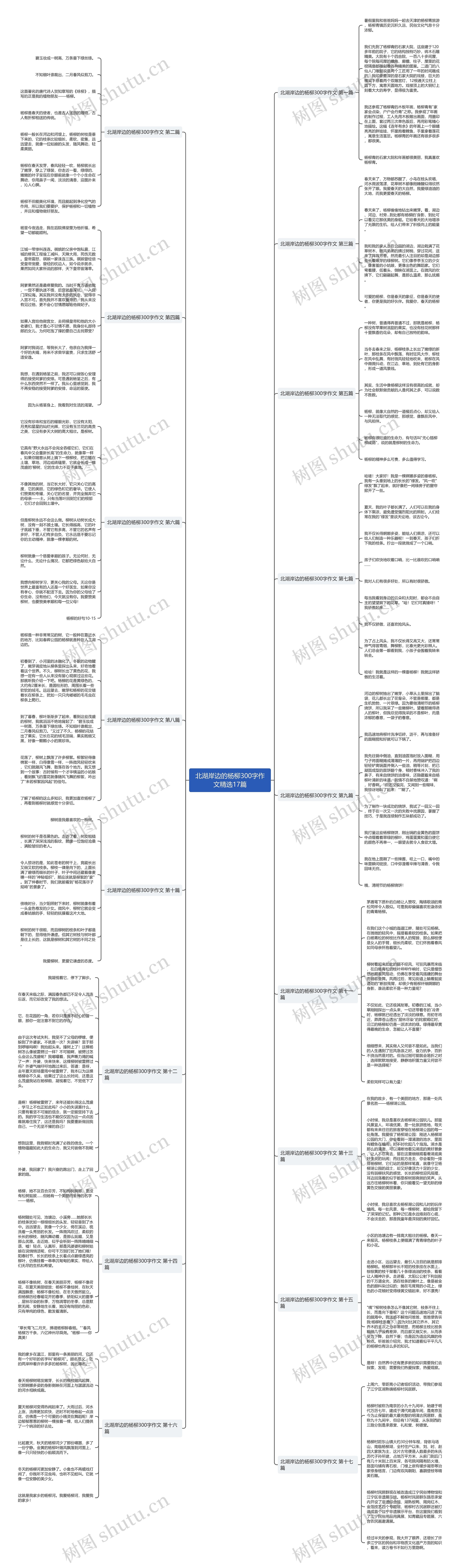 北湖岸边的杨柳300字作文精选17篇思维导图