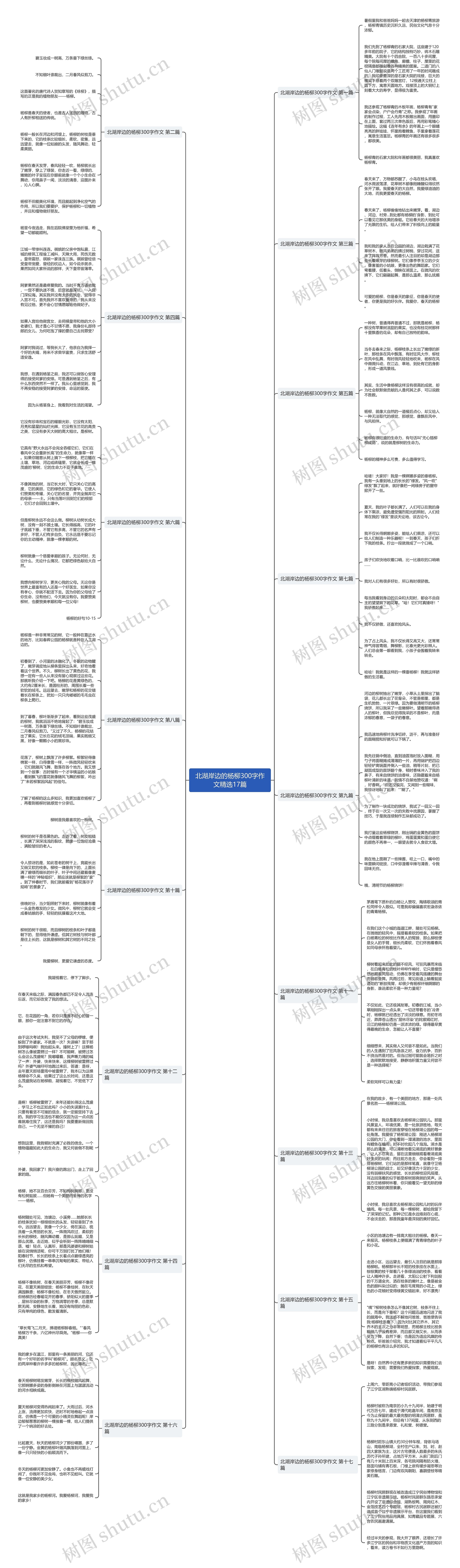 北湖岸边的杨柳300字作文精选17篇 北湖岸边的杨柳300字作文精选17篇