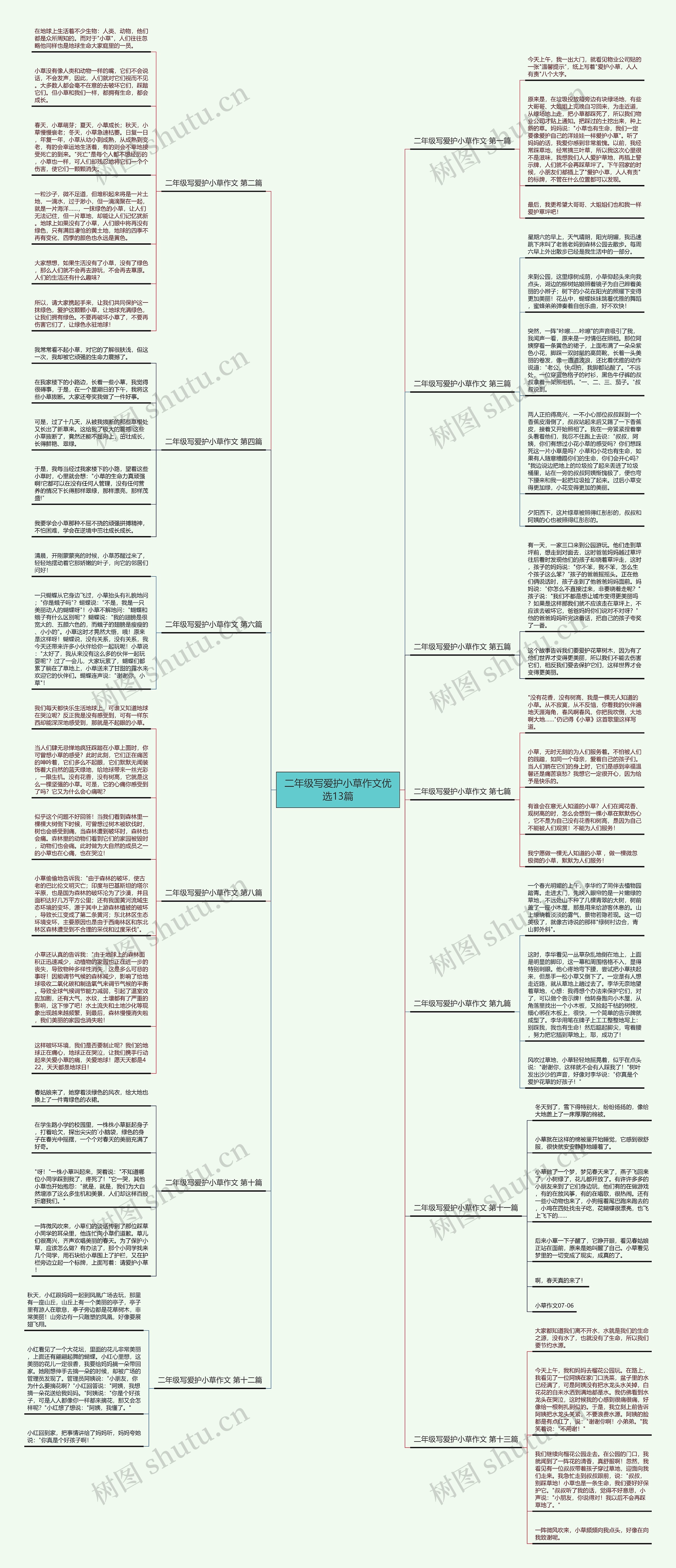 二年级写爱护小草作文优选13篇思维导图