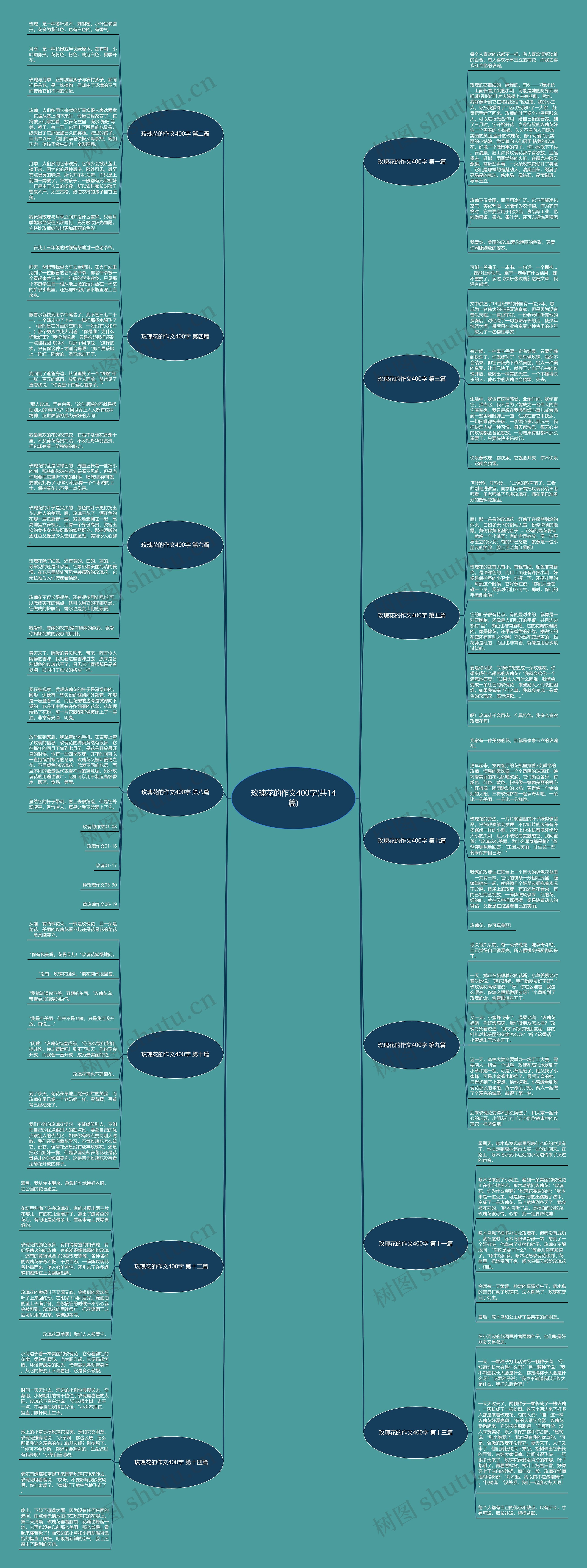 玫瑰花的作文400字(共14篇)思维导图
