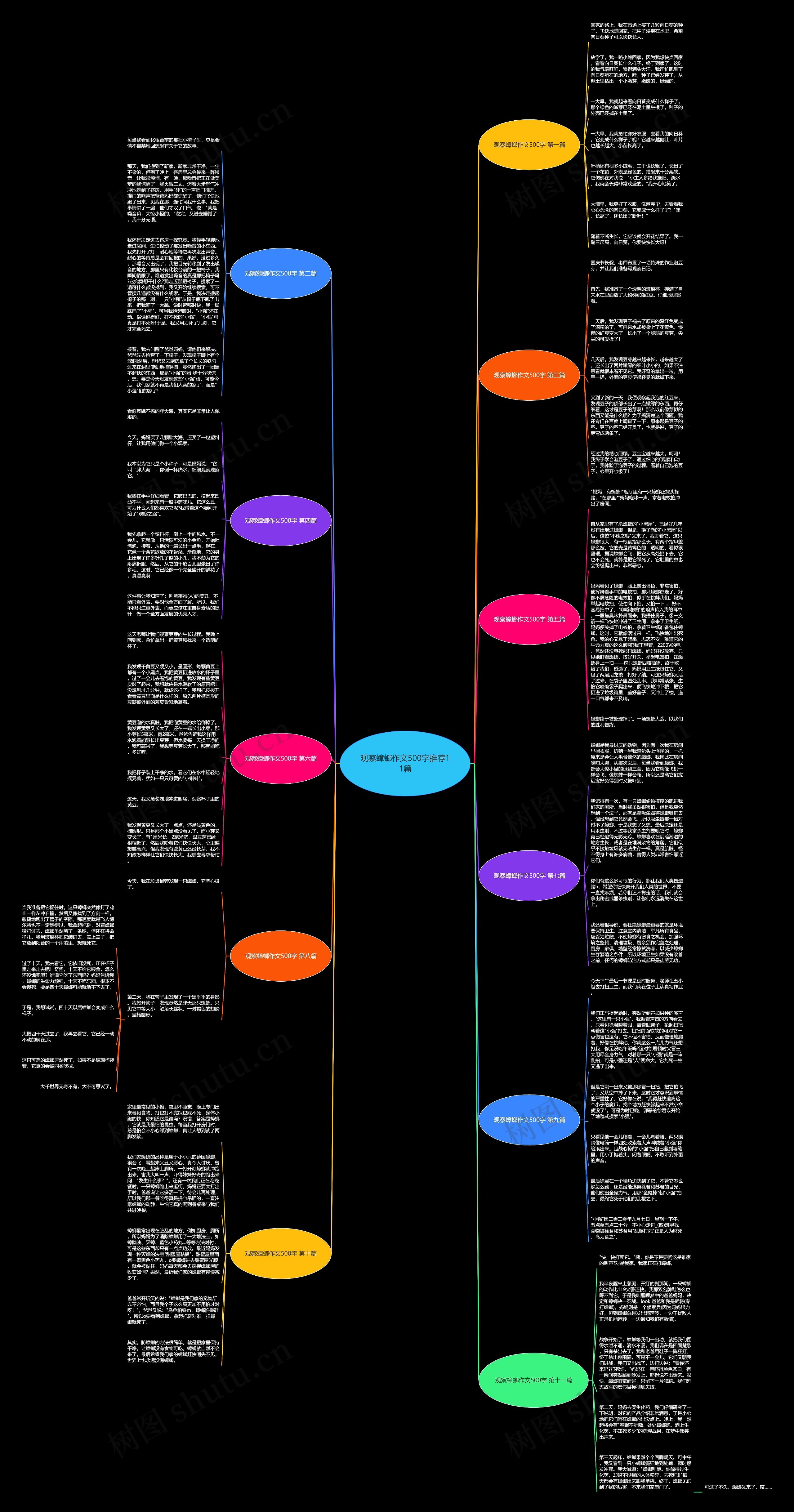 观察蟑螂作文500字推荐11篇思维导图