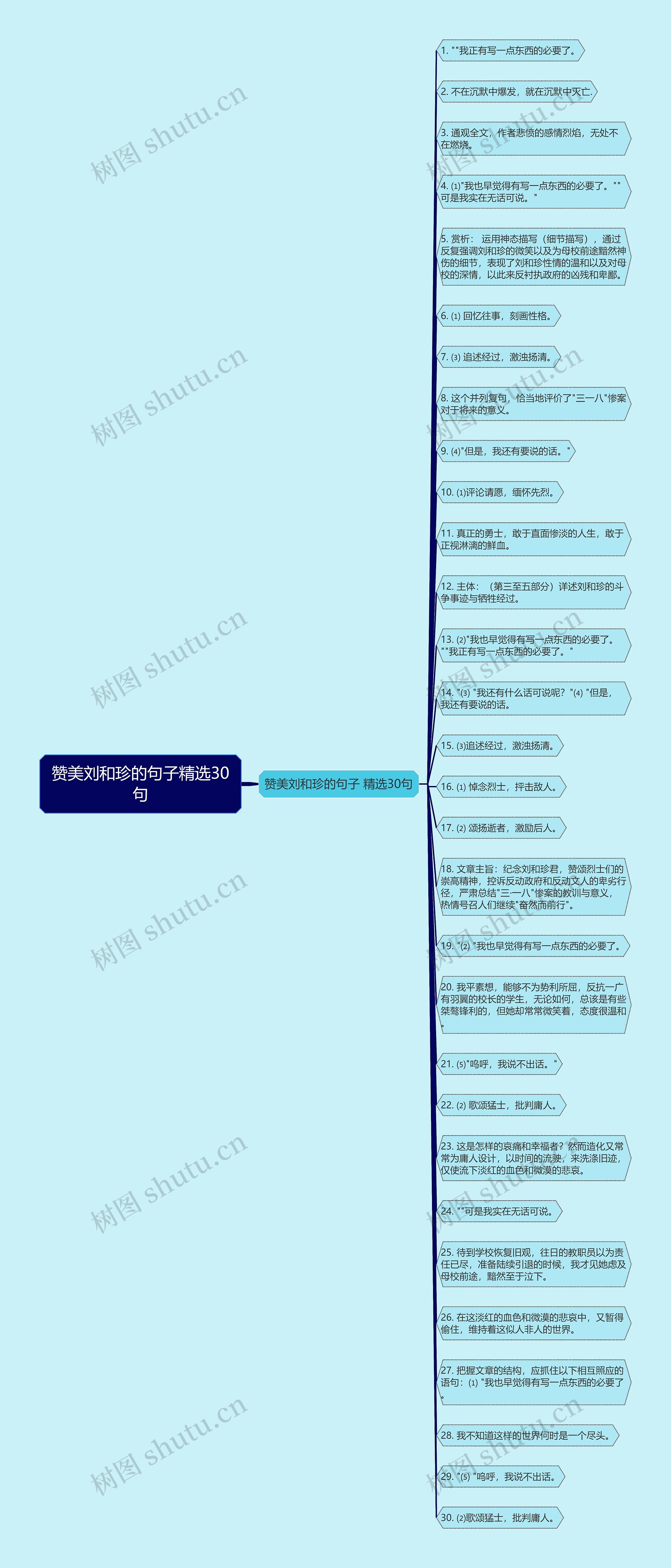 赞美刘和珍的句子精选30句思维导图