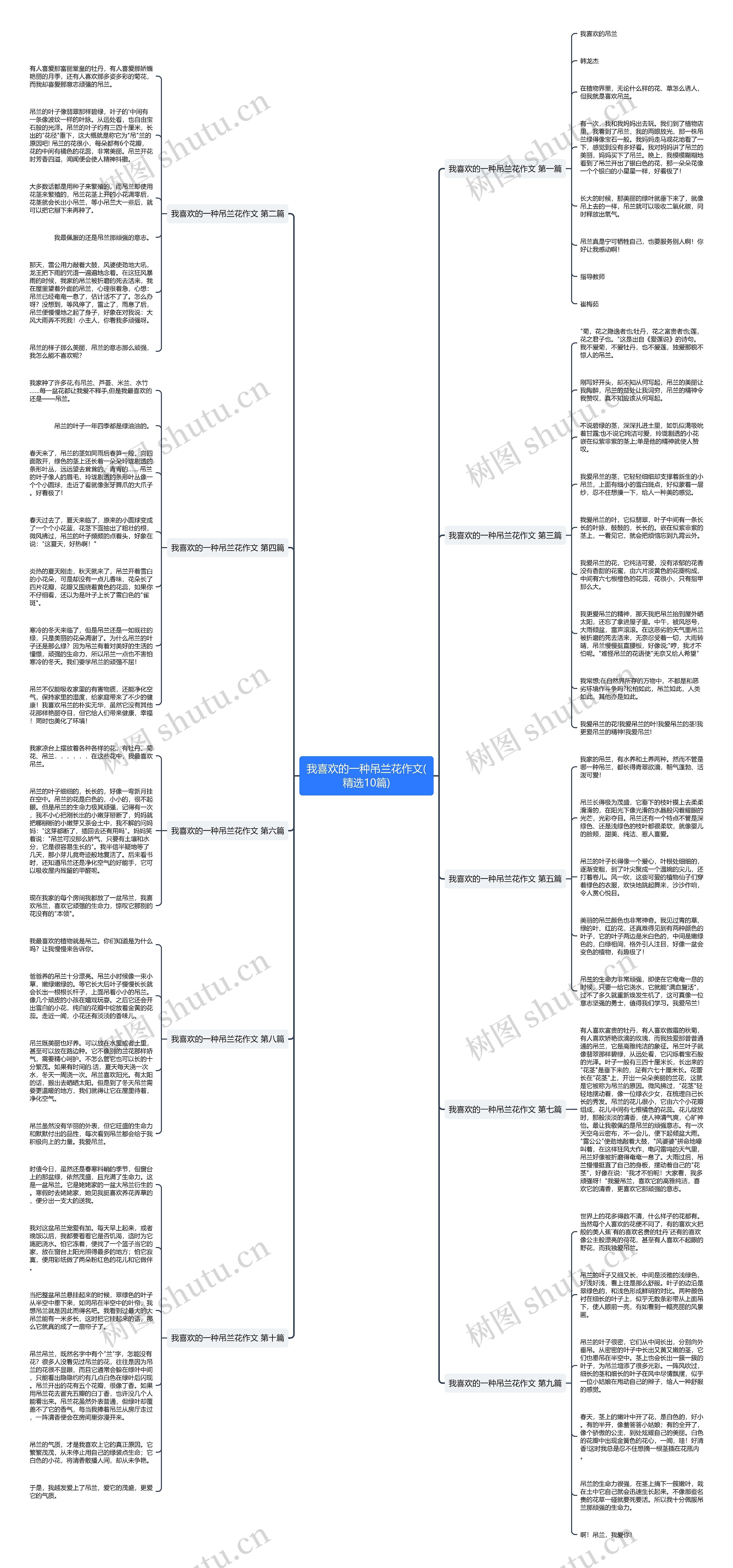 我喜欢的一种吊兰花作文(精选10篇)思维导图
