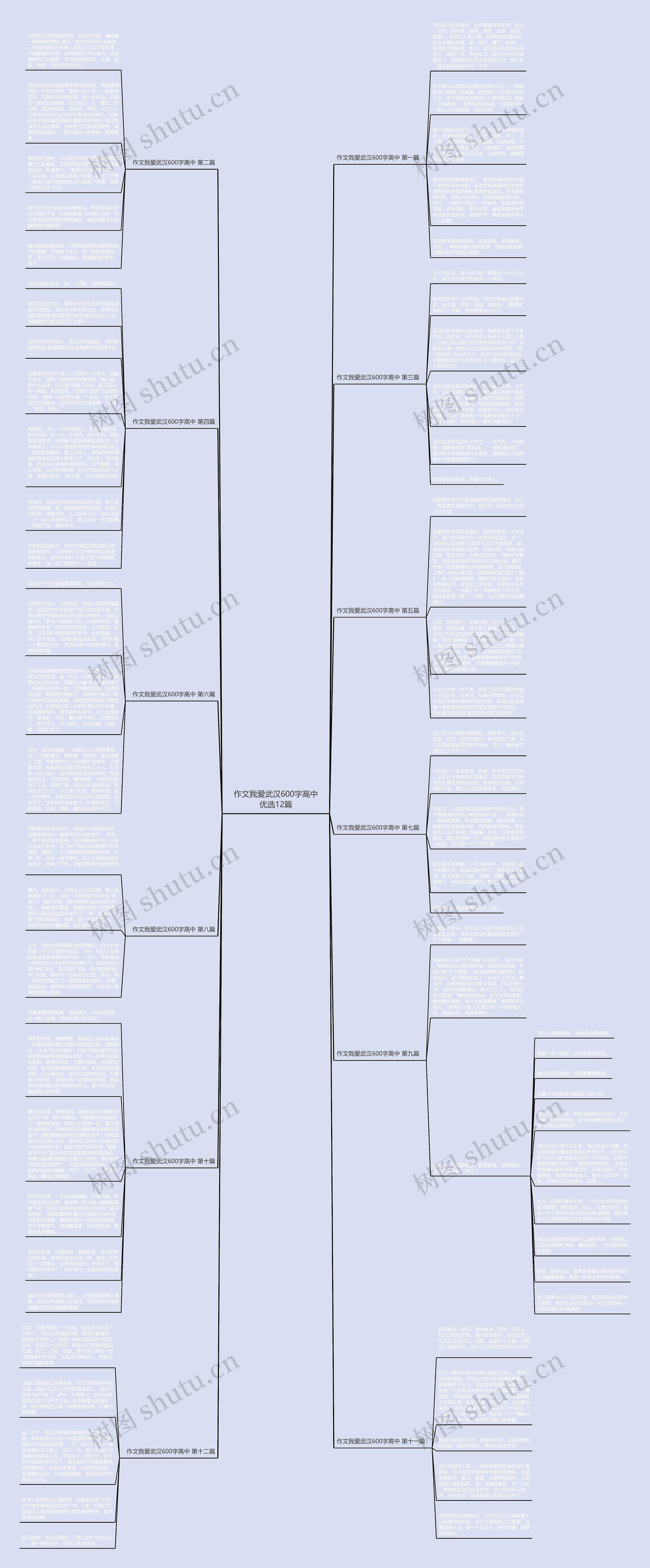 作文我爱武汉600字高中优选12篇思维导图