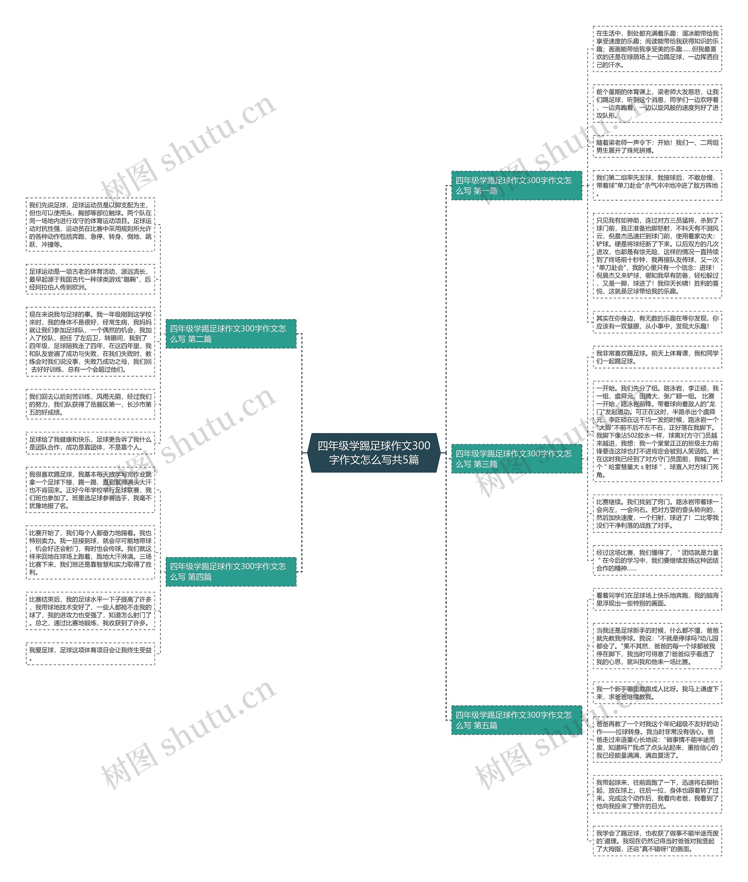 四年级学踢足球作文300字作文怎么写共5篇思维导图