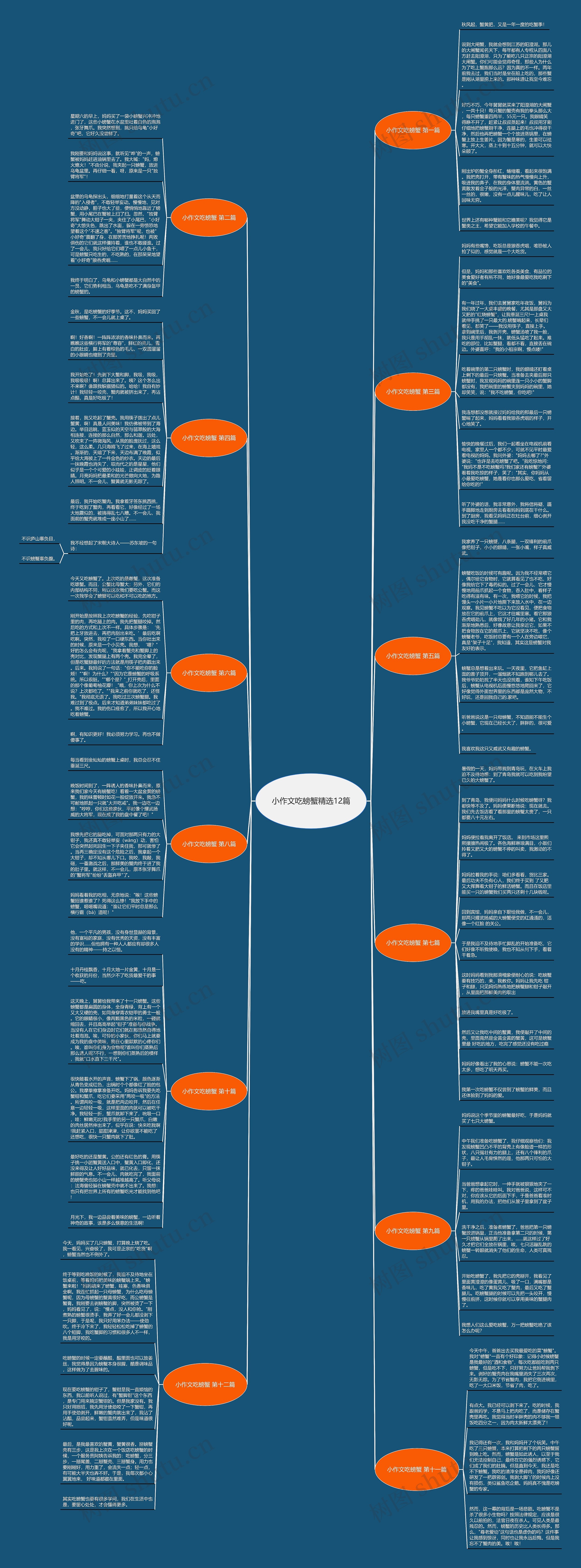 小作文吃螃蟹精选12篇思维导图