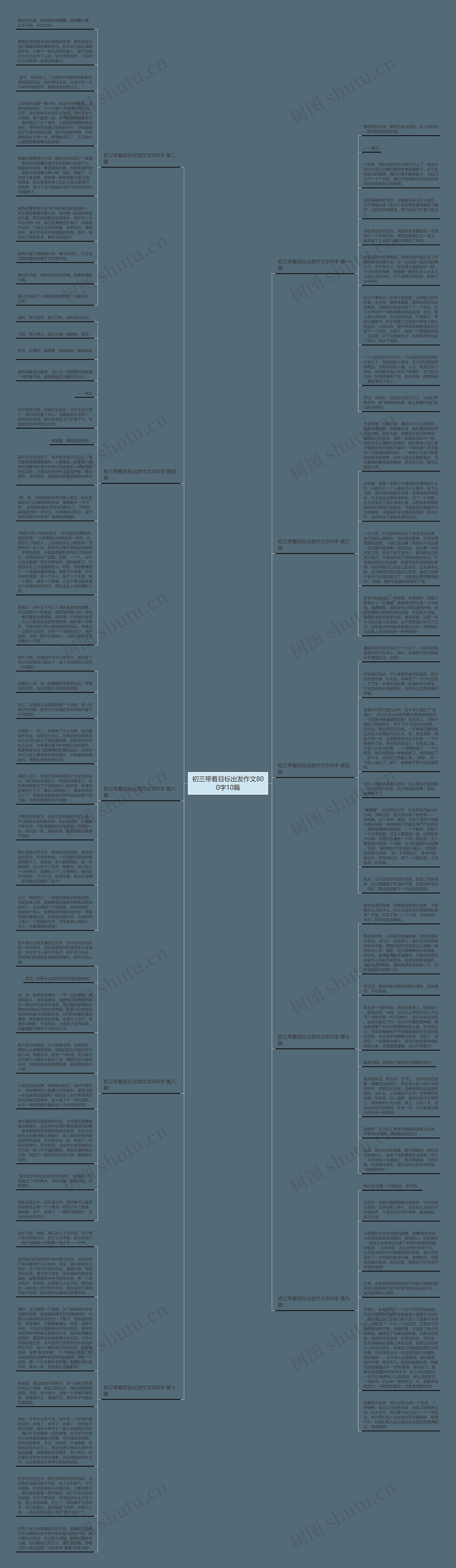 初三带着目标出发作文800字10篇思维导图