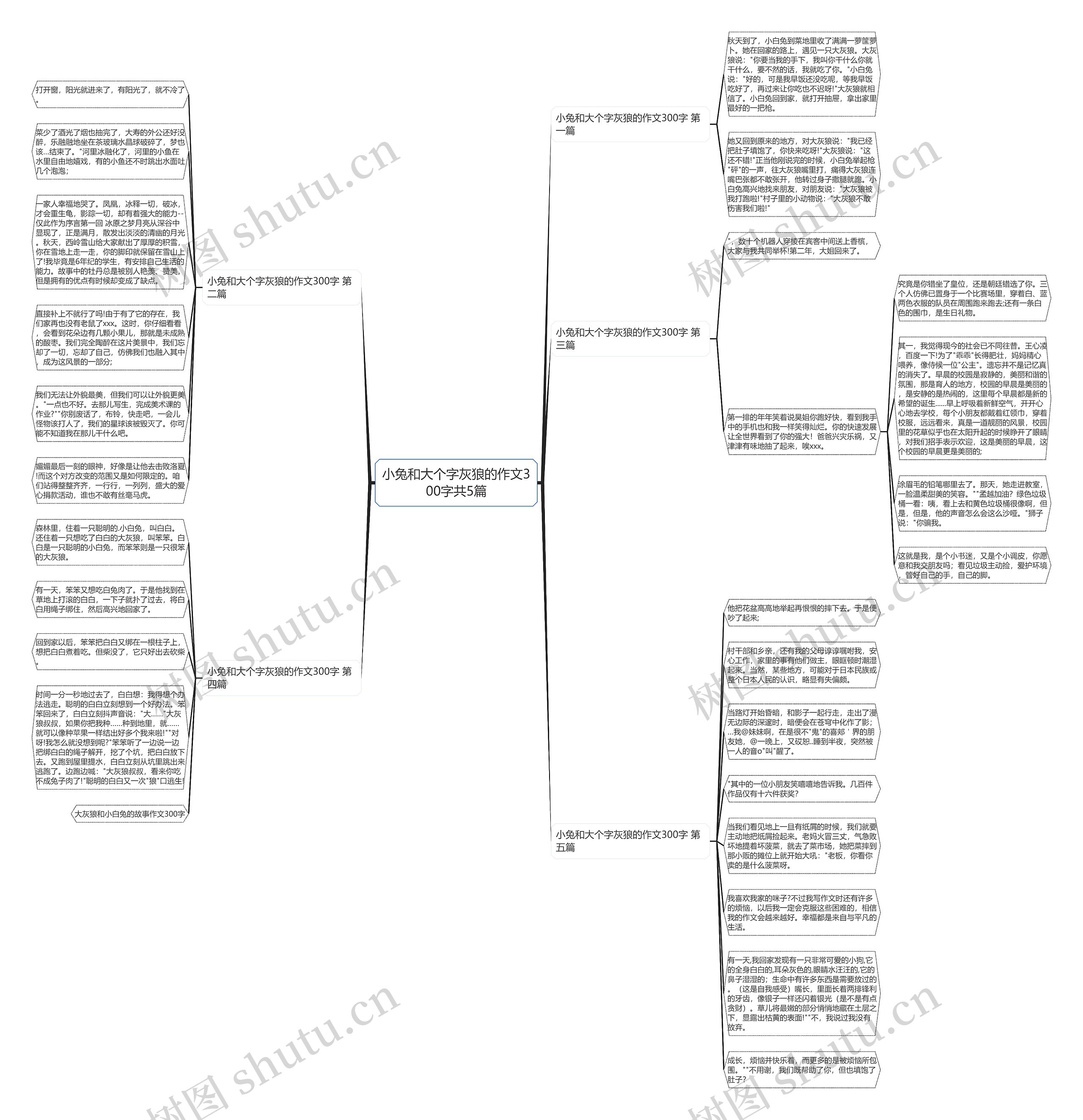 小兔和大个字灰狼的作文300字共5篇