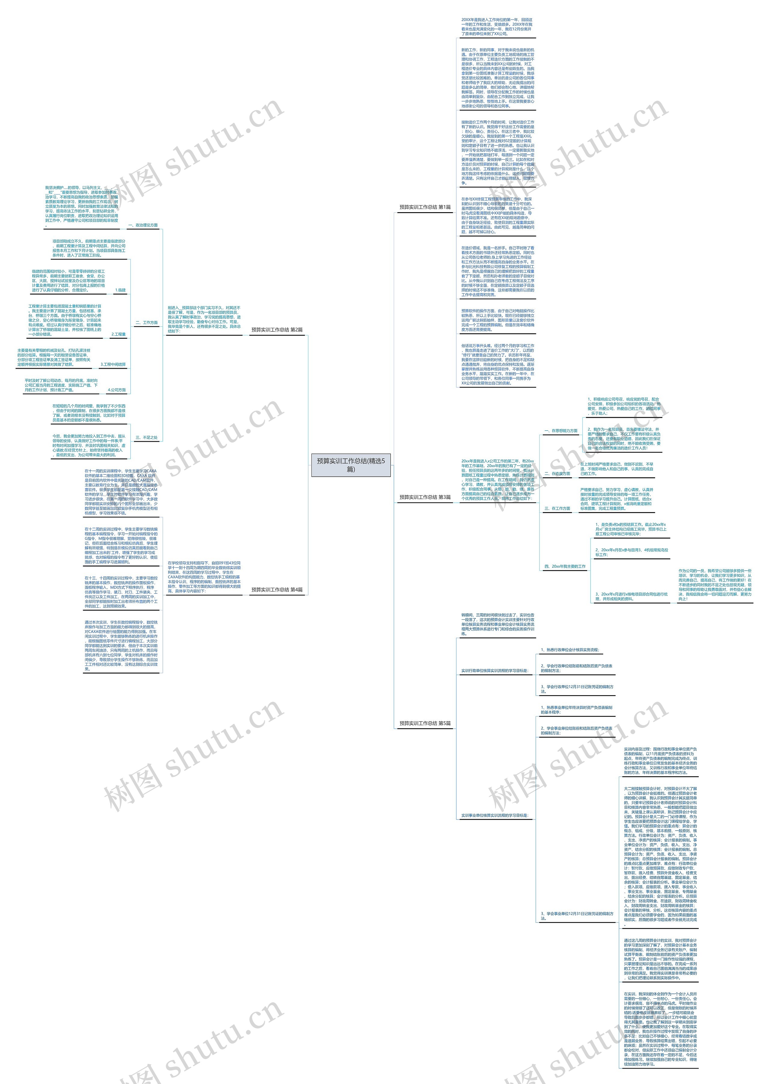 预算实训工作总结(精选5篇)思维导图