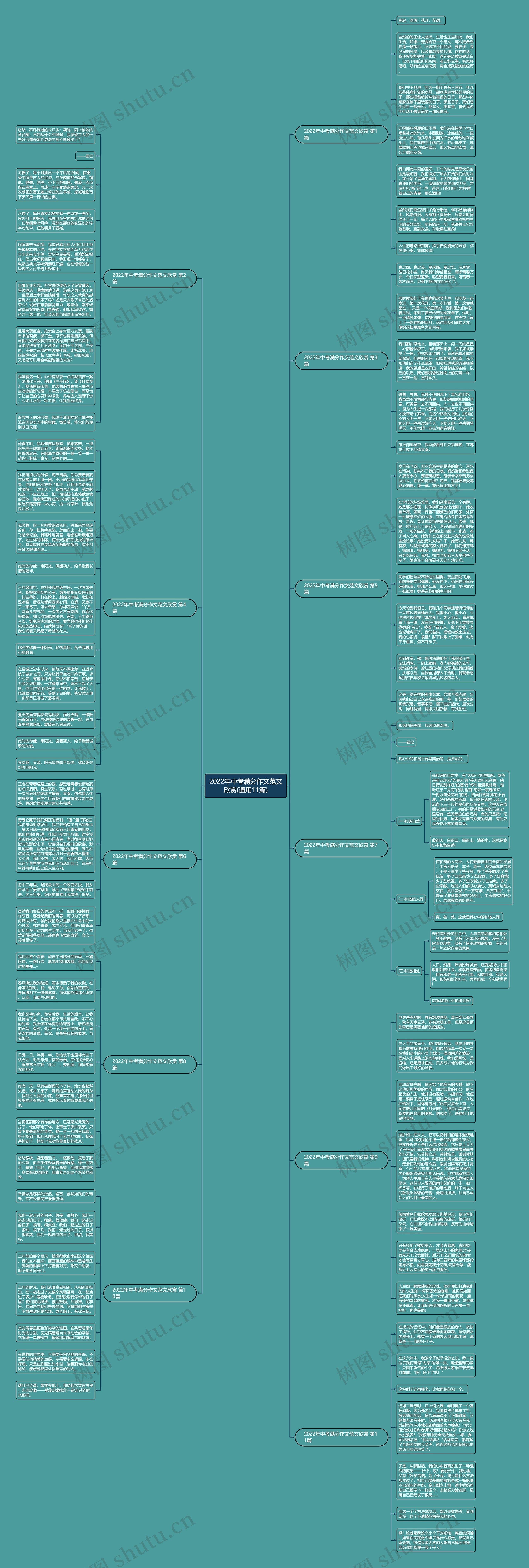 2022年中考满分作文范文欣赏(通用11篇)思维导图