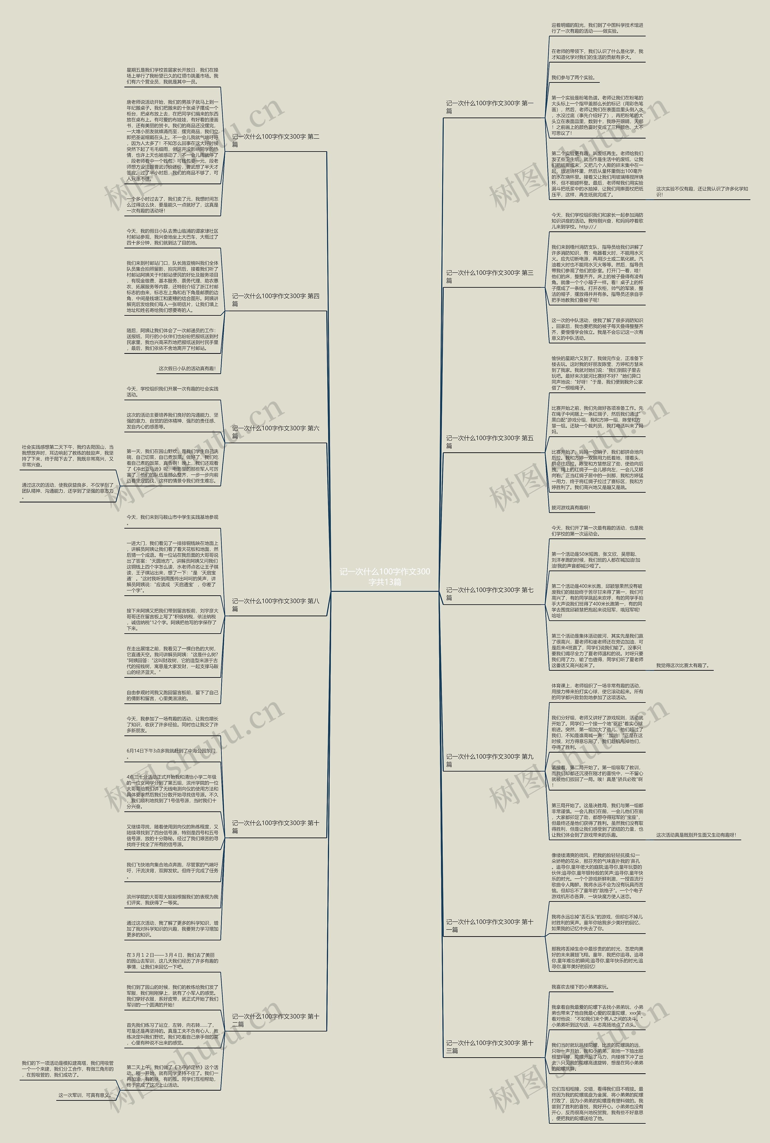 记一次什么100字作文300字共13篇思维导图