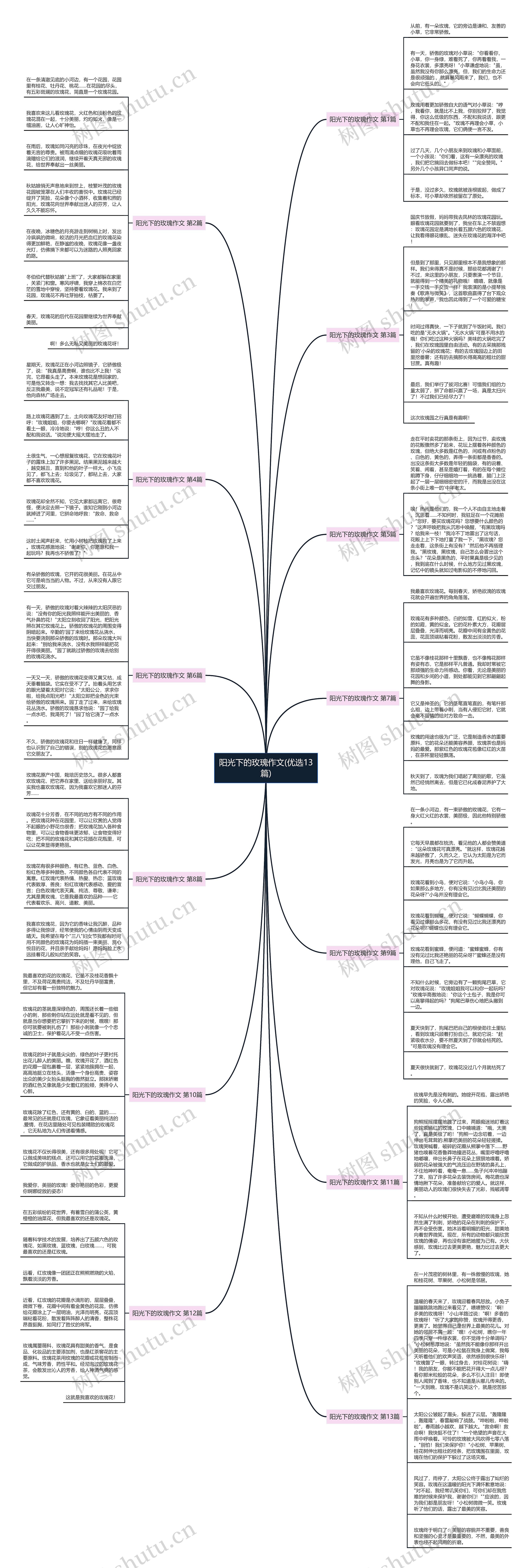 阳光下的玫瑰作文(优选13篇)思维导图