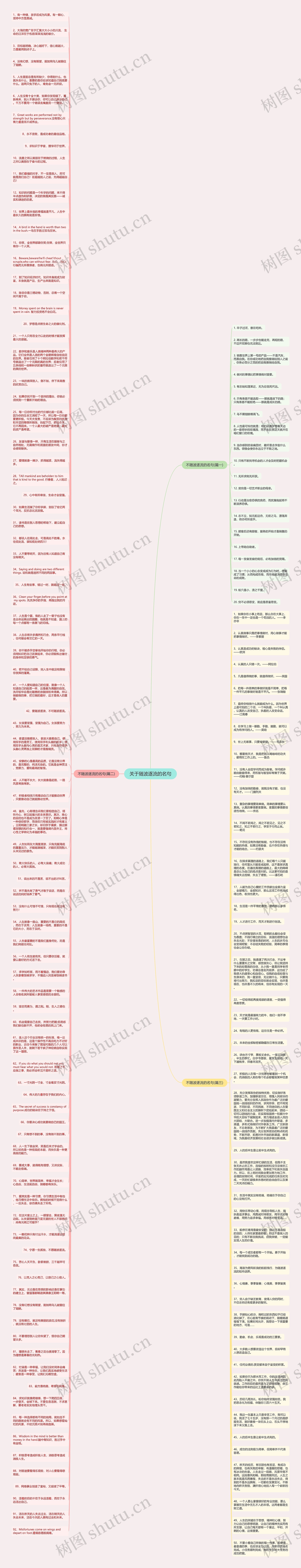 关于随波逐流的名句思维导图