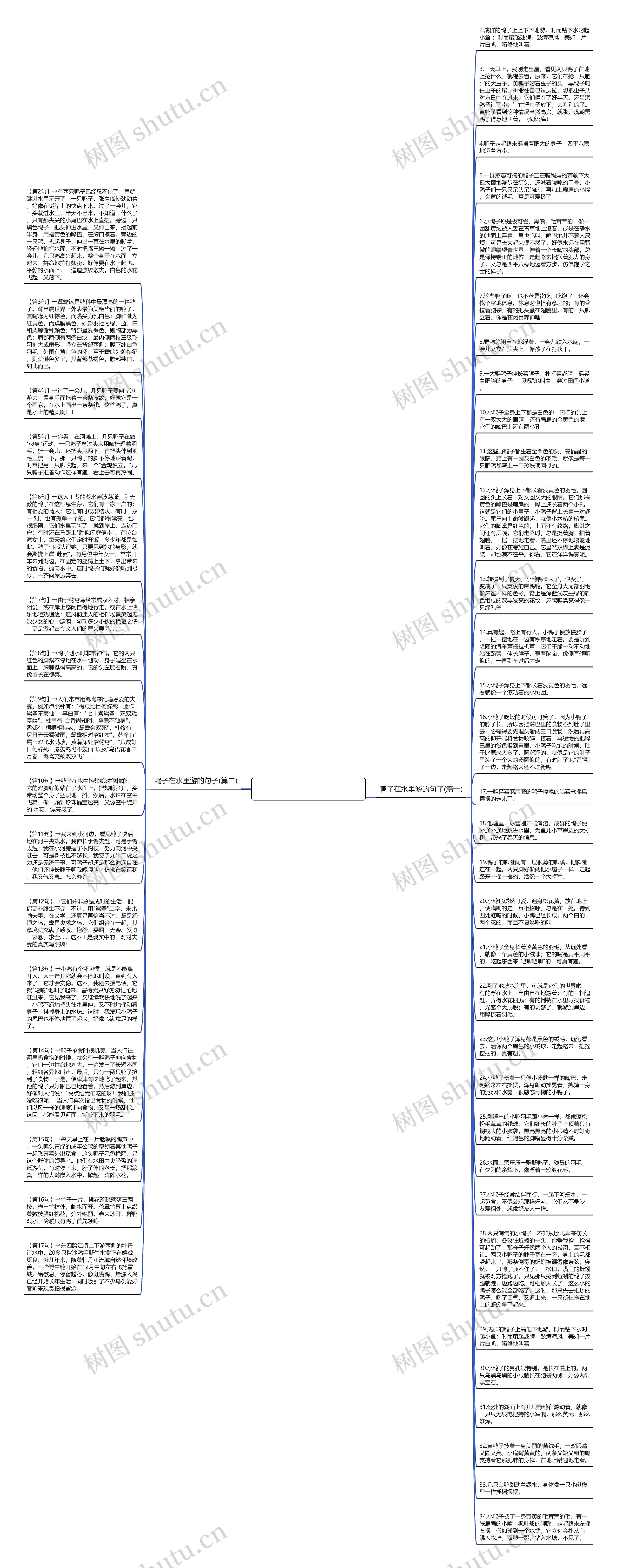 形容鸭子在水里游的句子思维导图