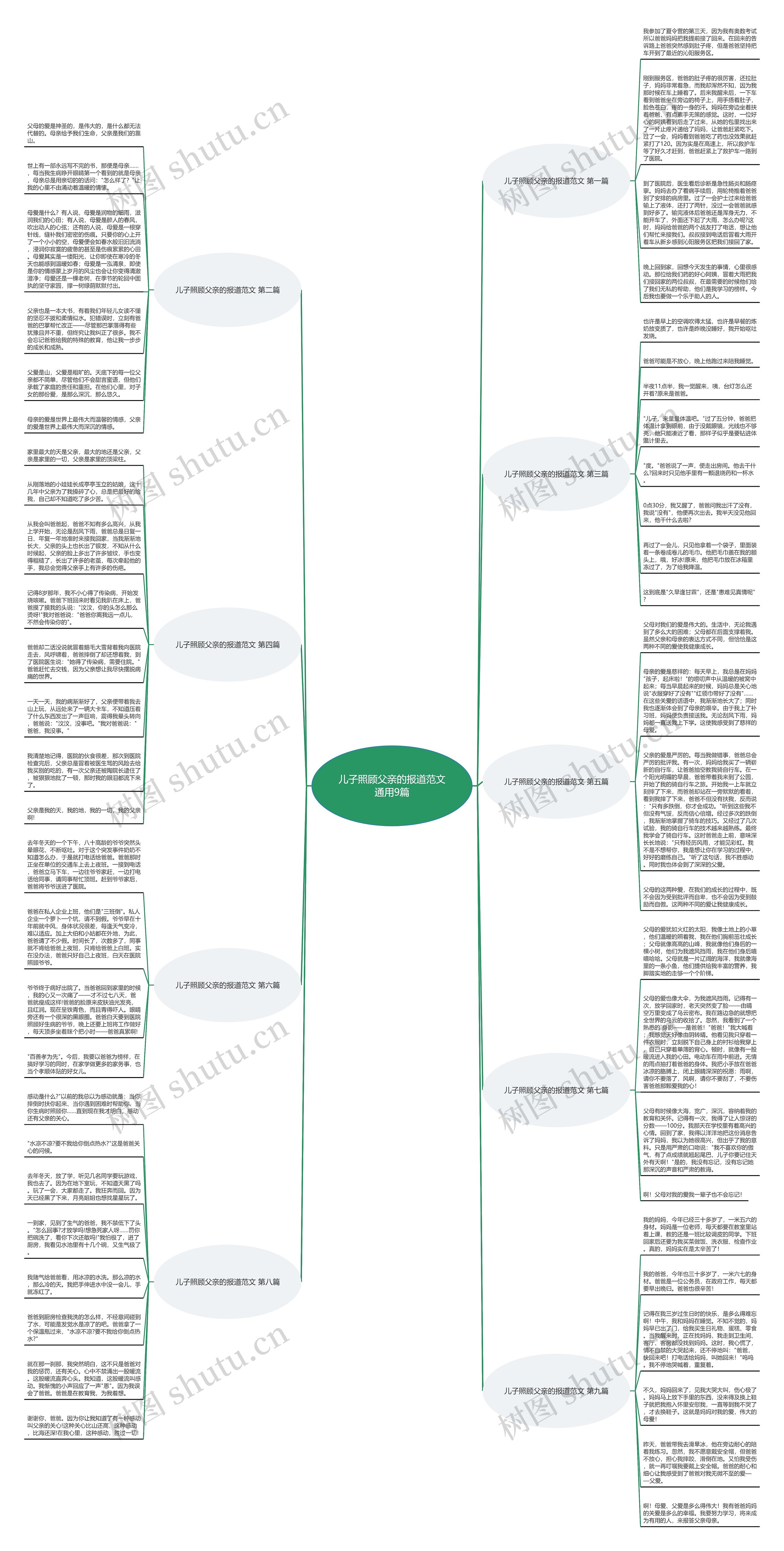 儿子照顾父亲的报道范文通用9篇思维导图