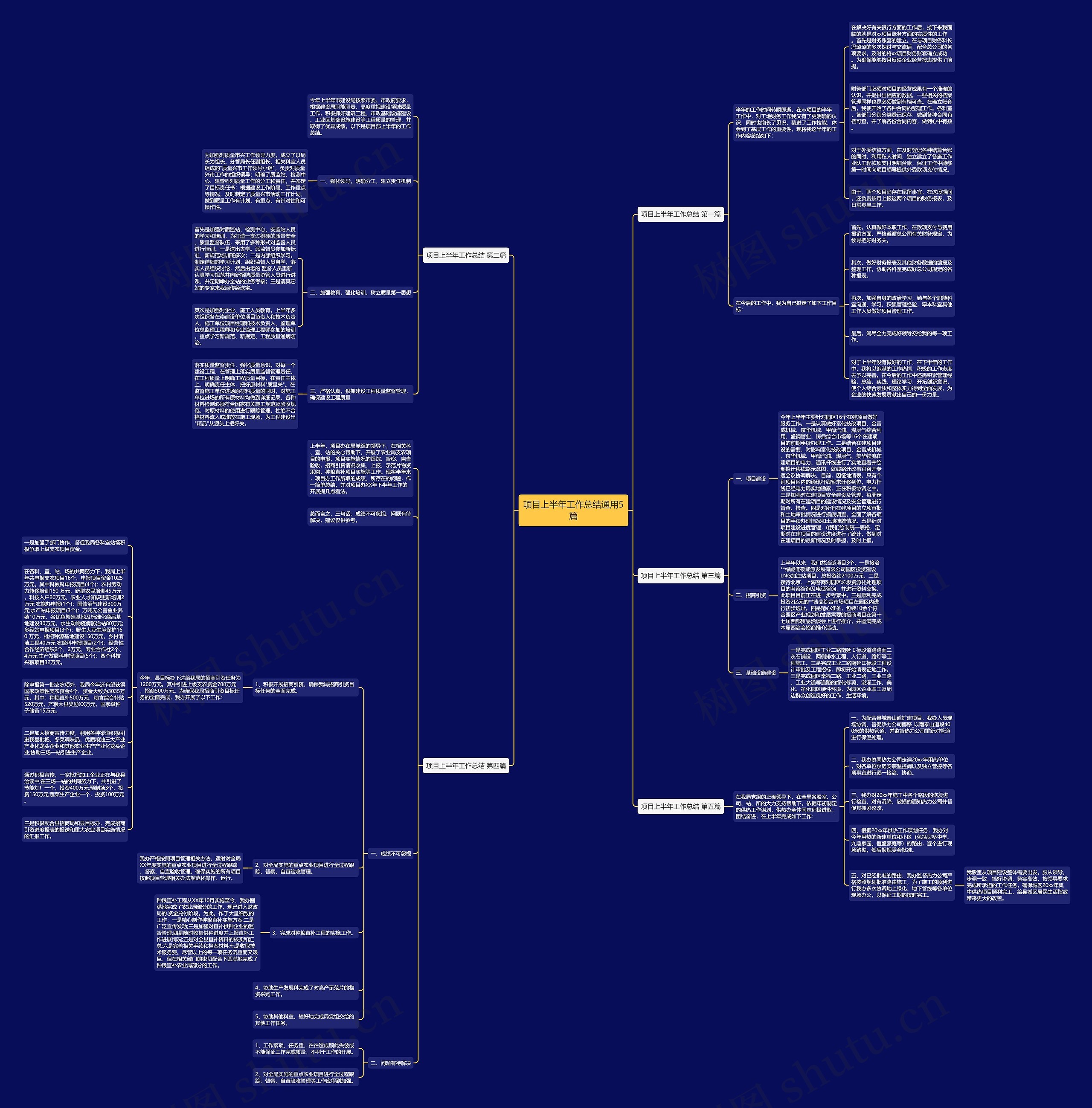 项目上半年工作总结通用5篇思维导图