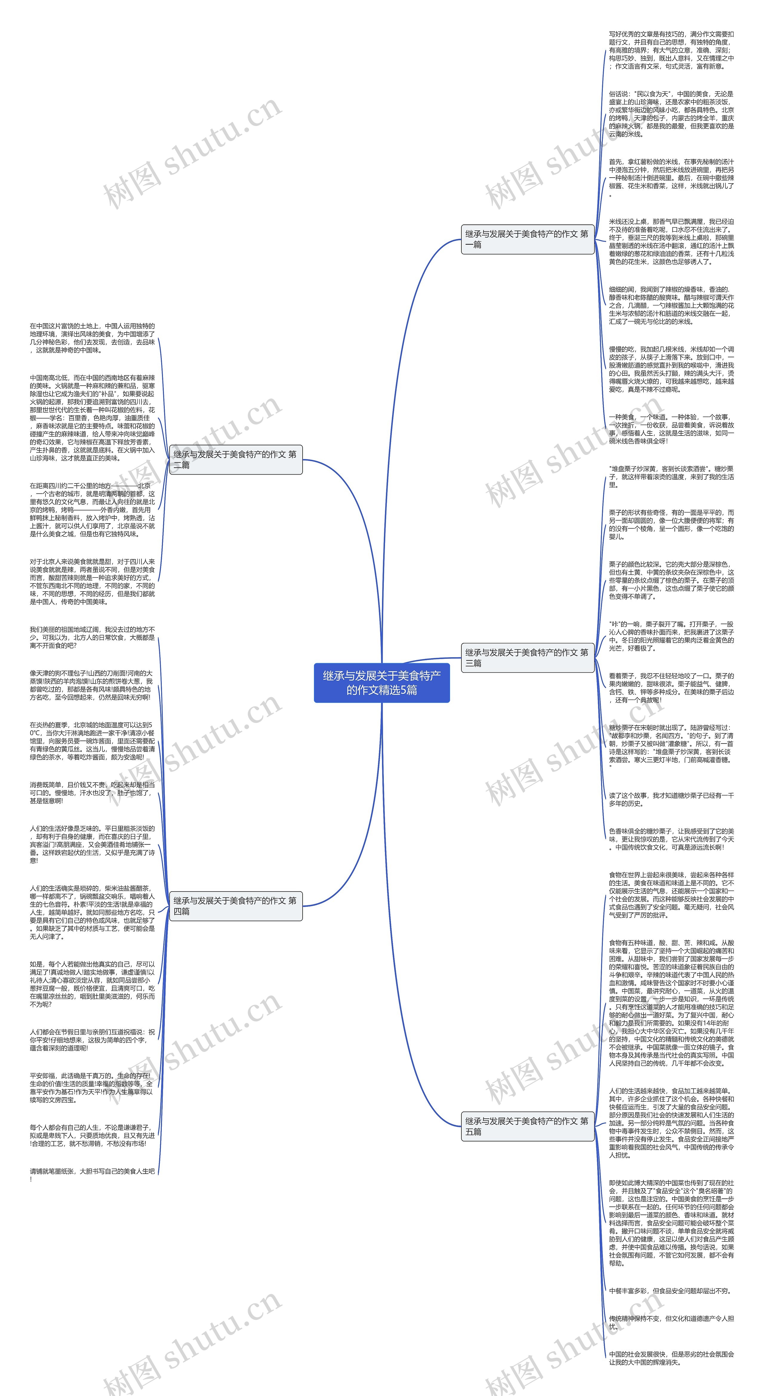 继承与发展关于美食特产的作文精选5篇思维导图
