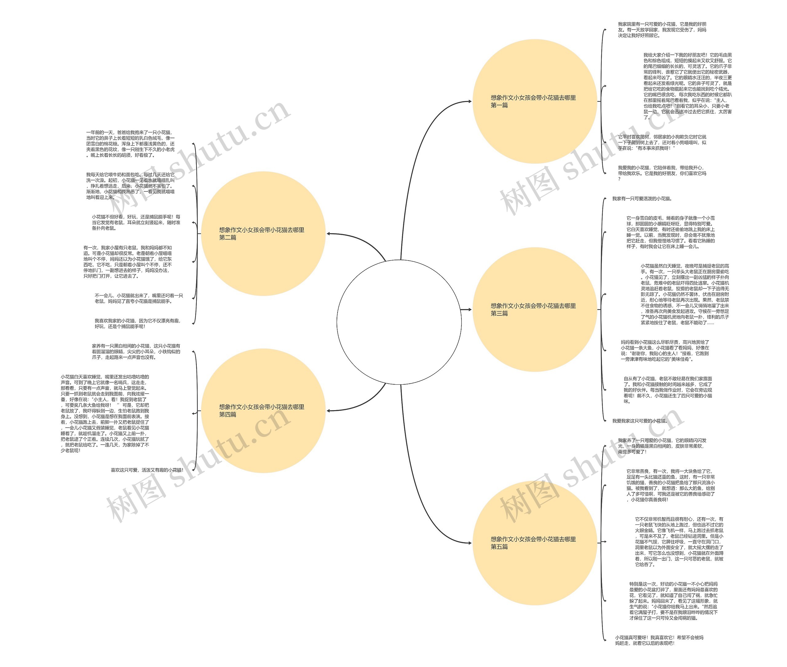 想象作文小女孩会带小花猫去哪里通用5篇 想象作文小女孩会带小花猫去哪里通用5篇