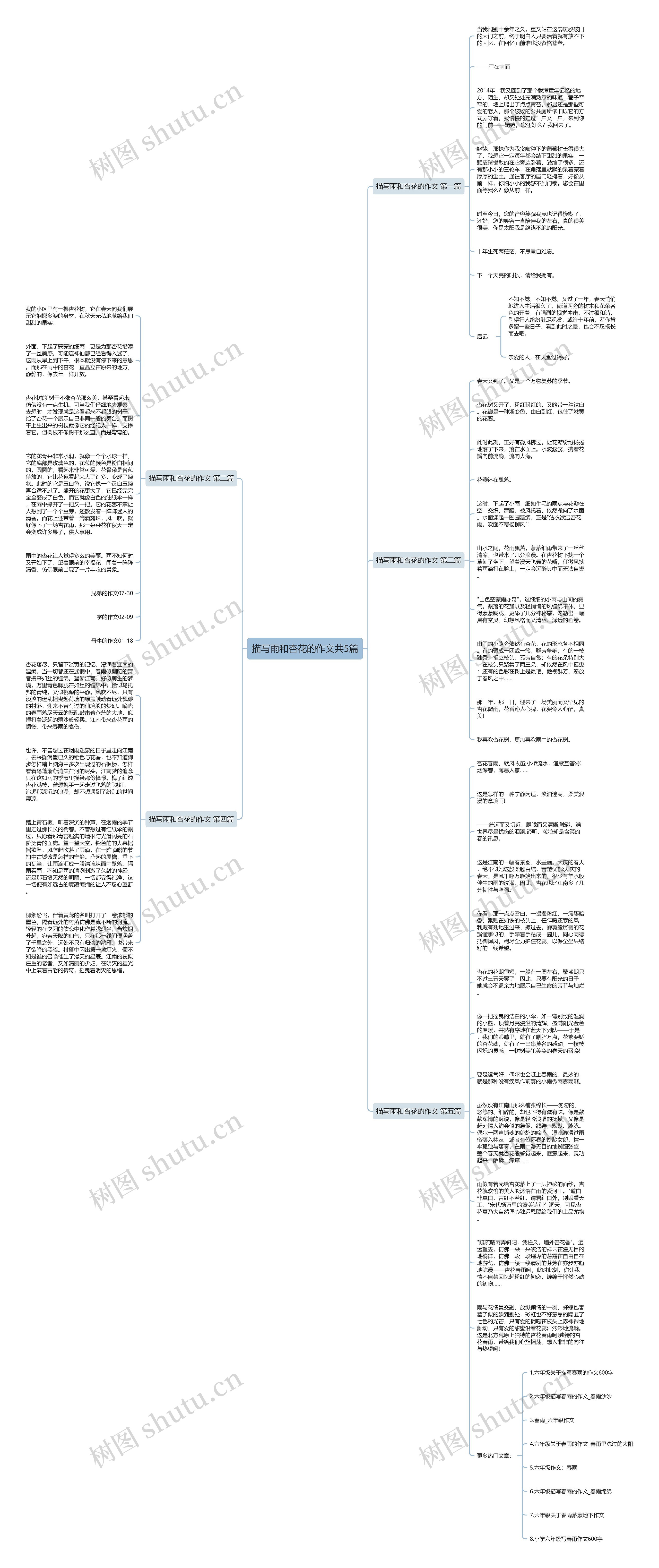 描写雨和杏花的作文共5篇思维导图