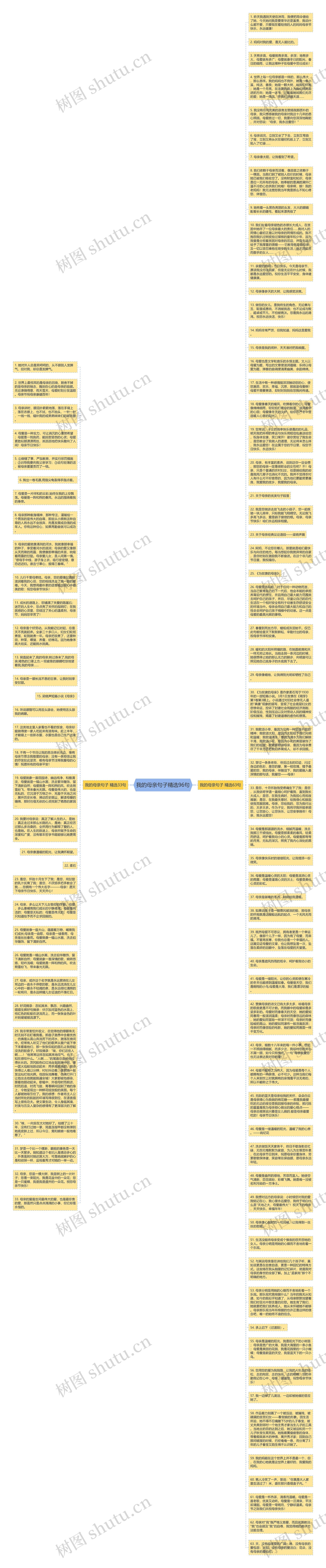 我的母亲句子精选96句思维导图