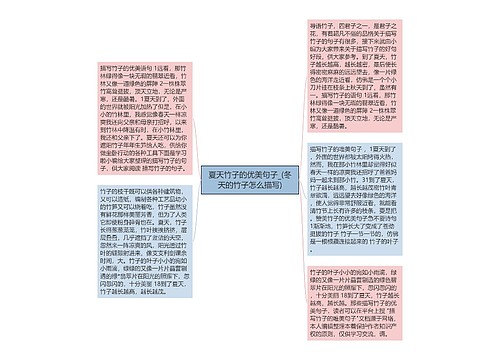 夏天竹子的优美句子_(冬天的竹子怎么描写)