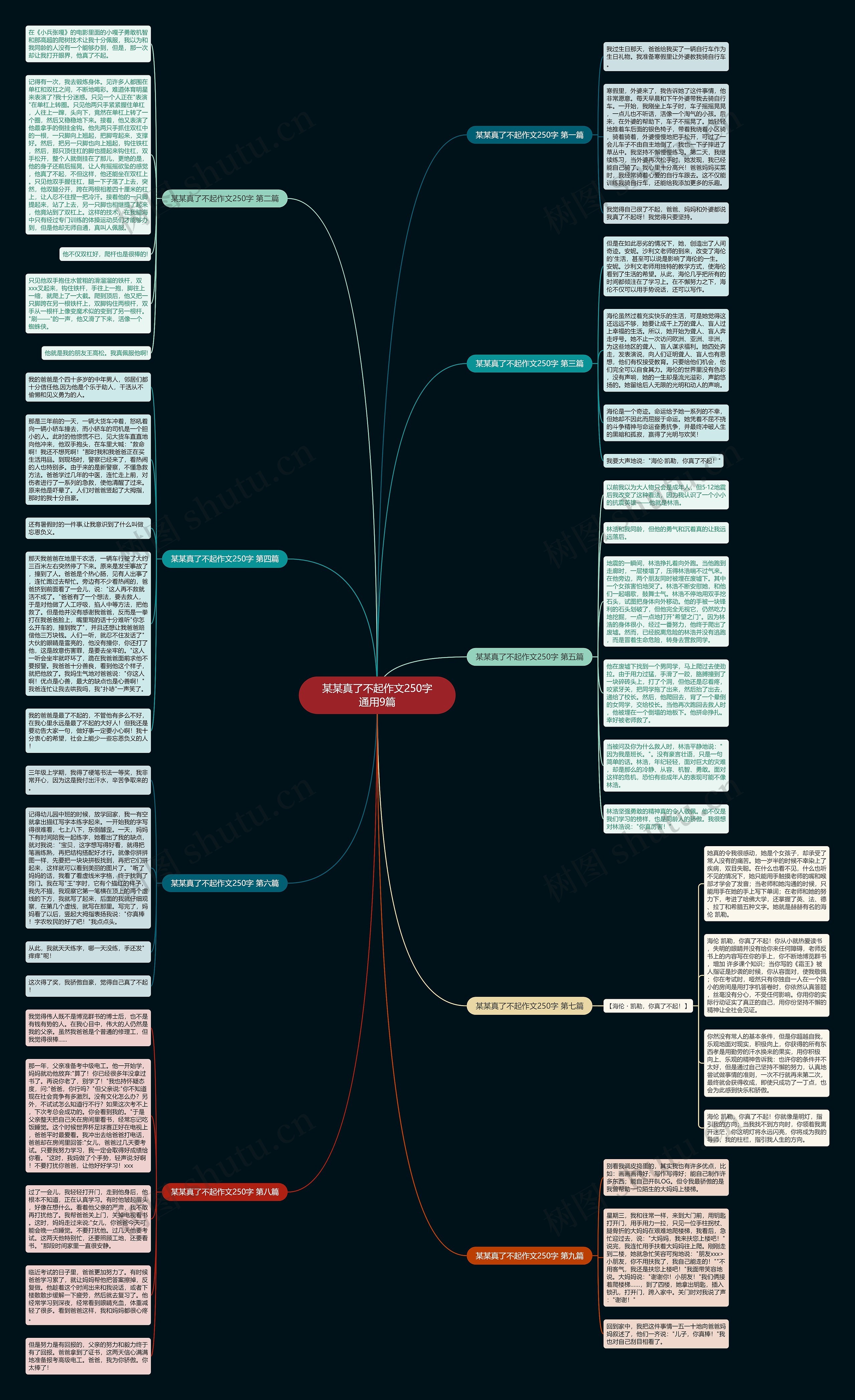 某某真了不起作文250字通用9篇思维导图