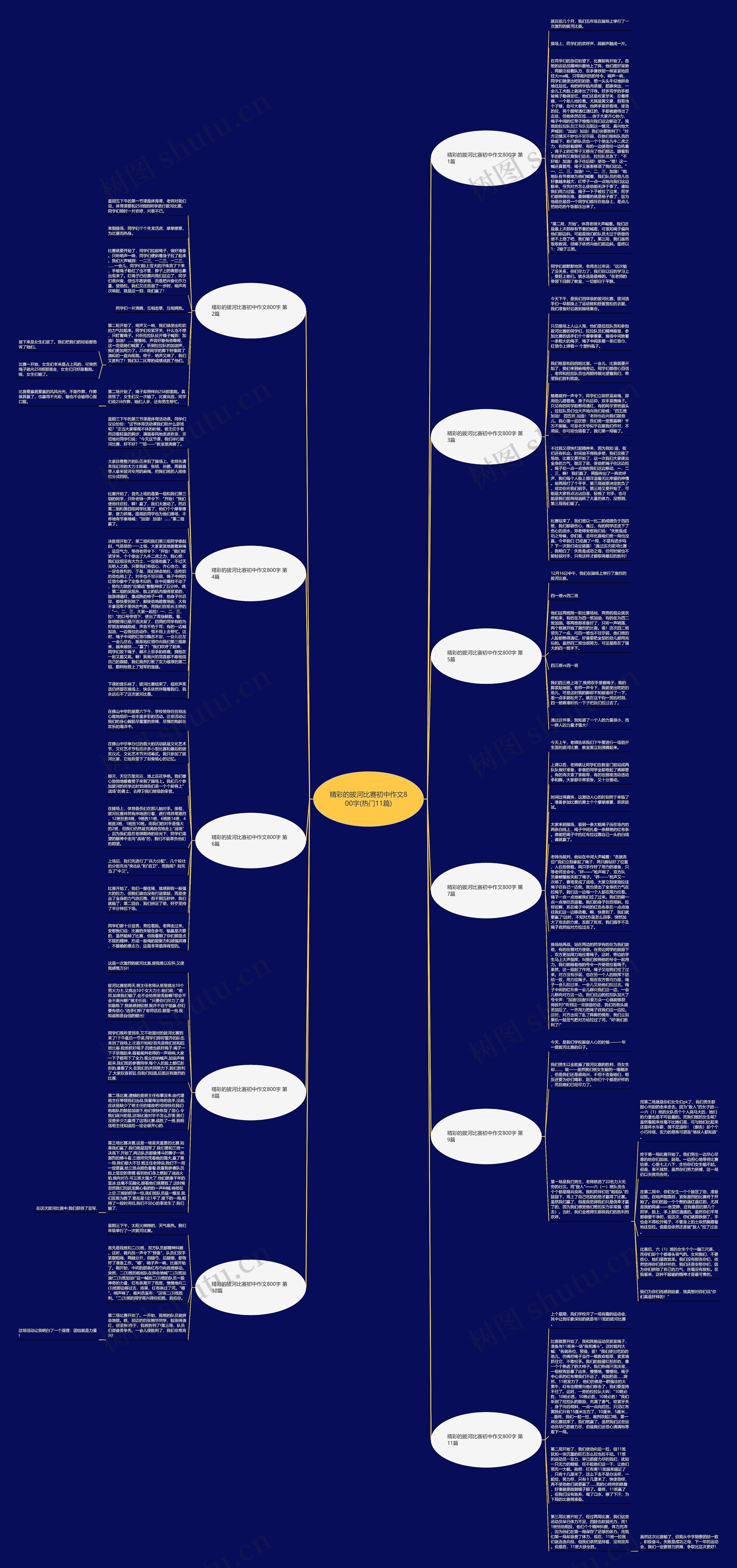 精彩的拔河比赛初中作文800字(热门11篇)思维导图