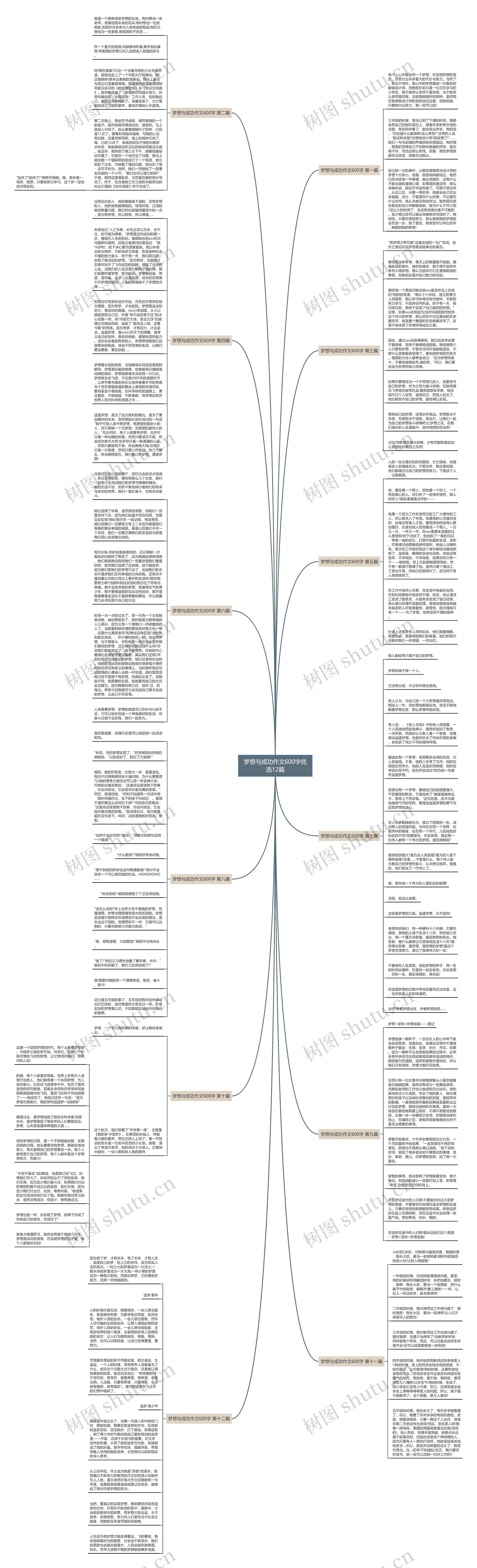 梦想与成功作文600字优选12篇思维导图