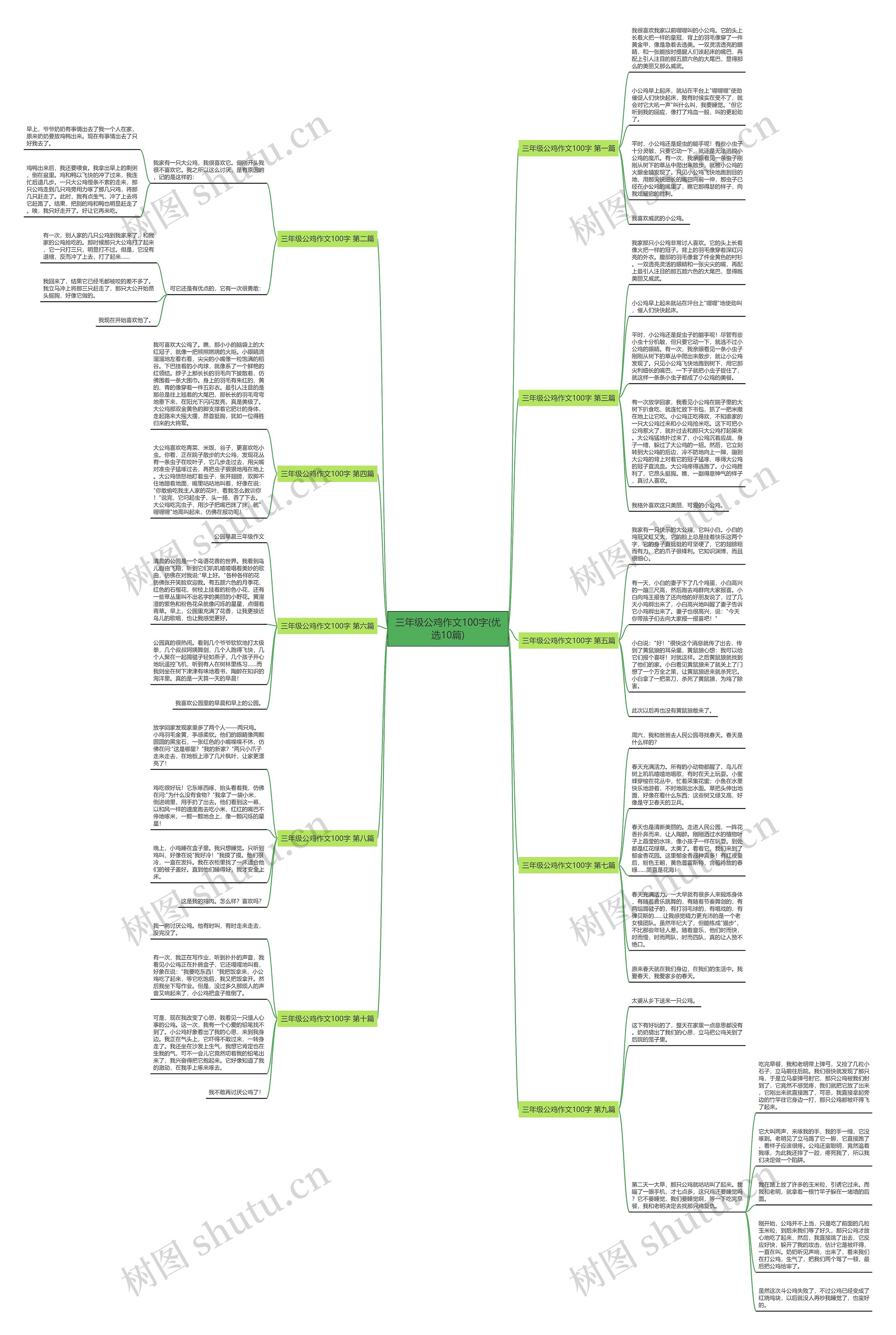 三年级公鸡作文100字(优选10篇)思维导图