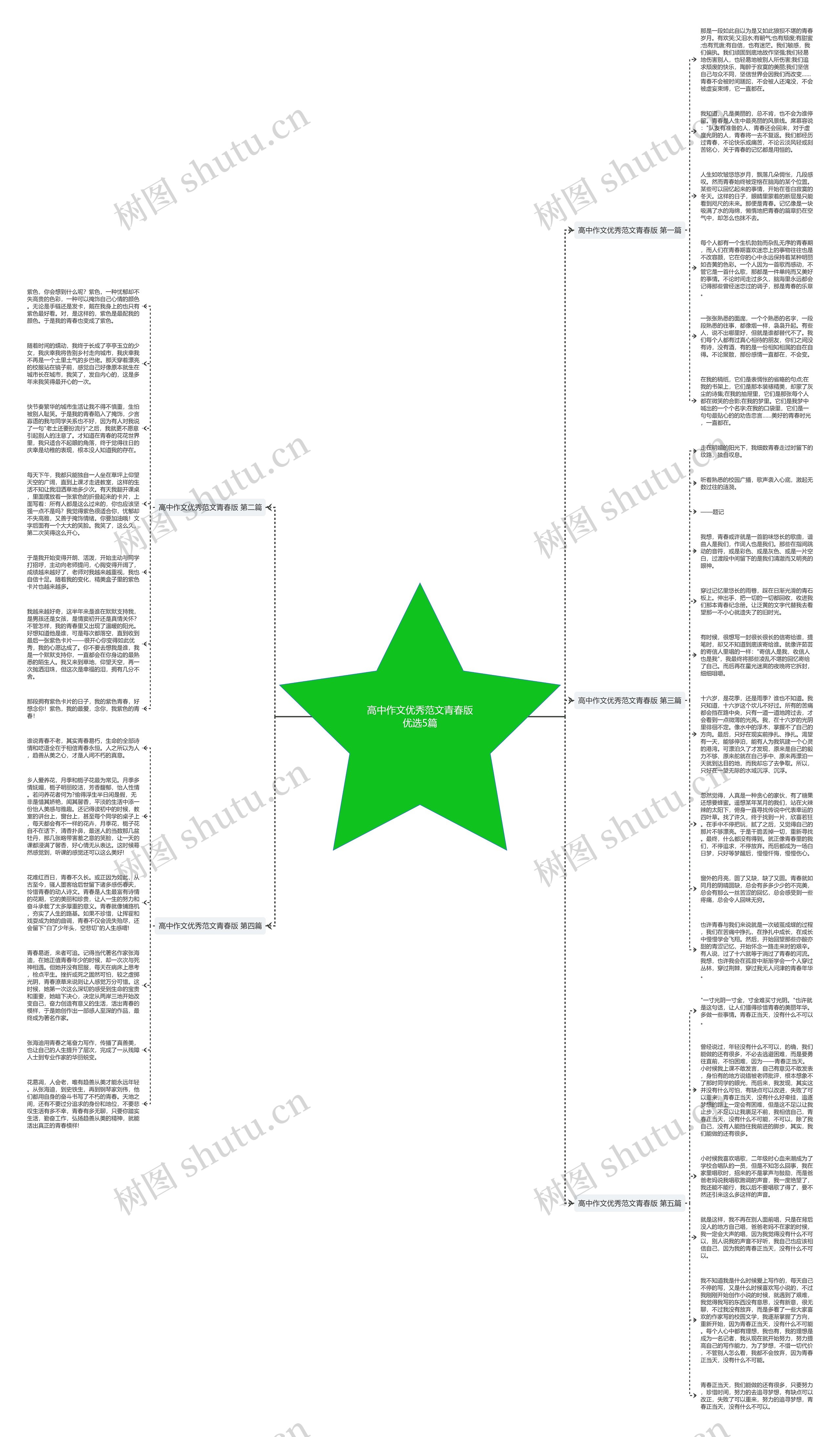高中作文优秀范文青春版优选5篇思维导图