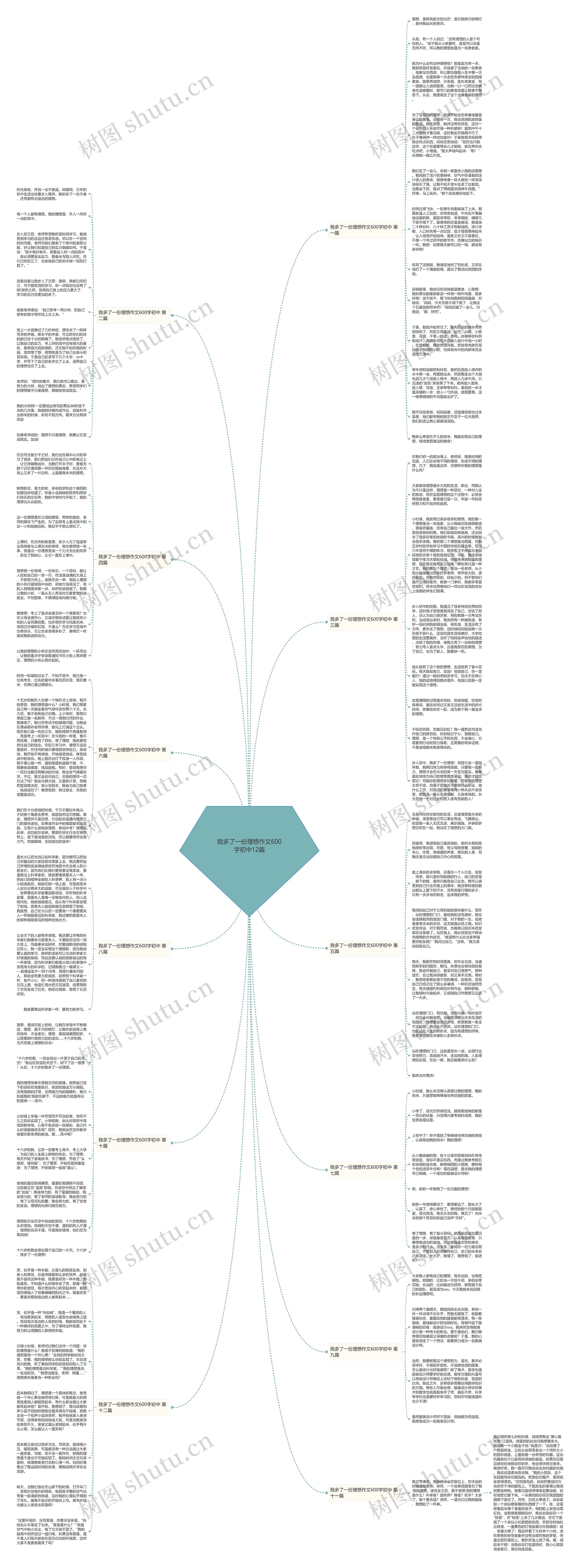 我多了一份理想作文600字初中12篇思维导图