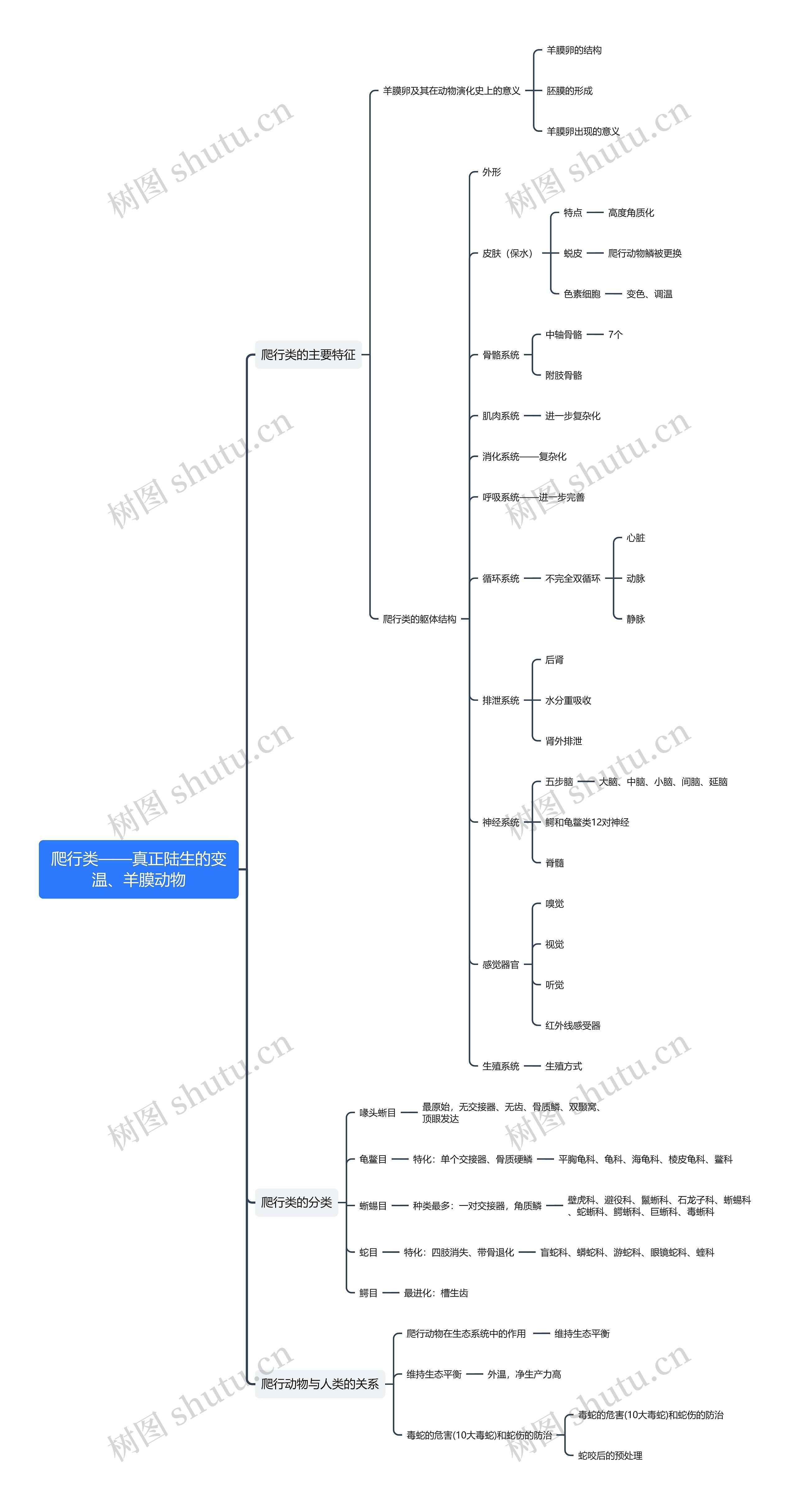 爬行类——真正陆生的变温、羊膜动物思维导图