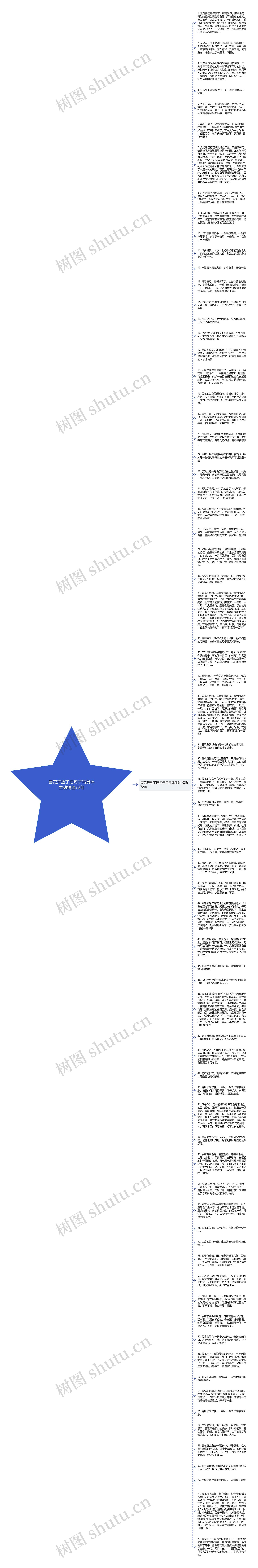 昙花开放了把句子写具体生动精选72句