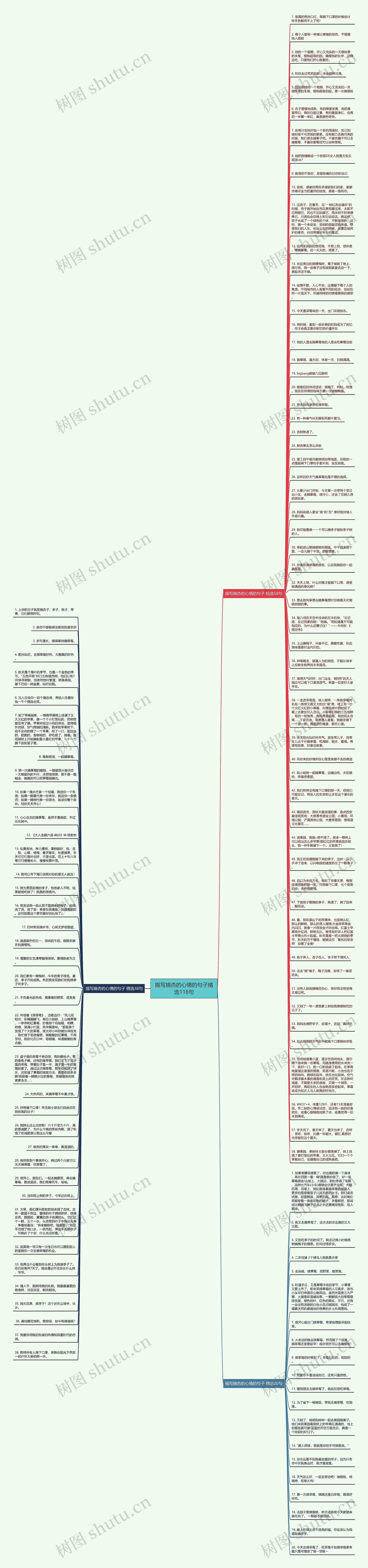 描写摘杏的心情的句子精选116句思维导图
