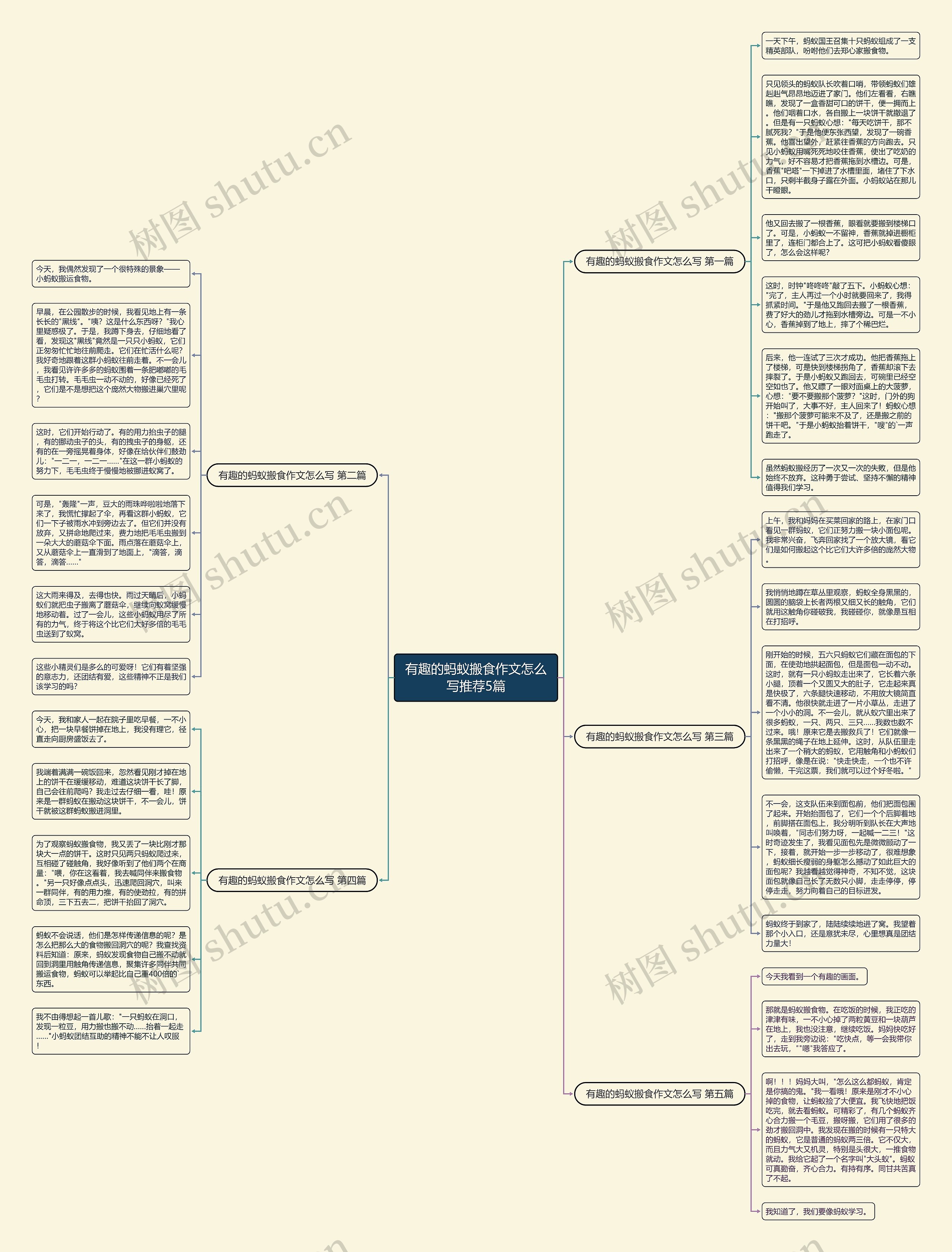 有趣的蚂蚁搬食作文怎么写推荐5篇思维导图
