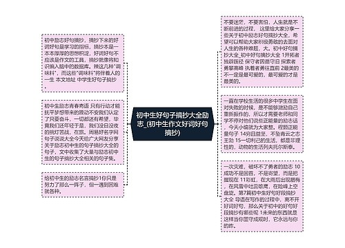 初中生好句子摘抄大全励志_(初中生作文好词好句摘抄)