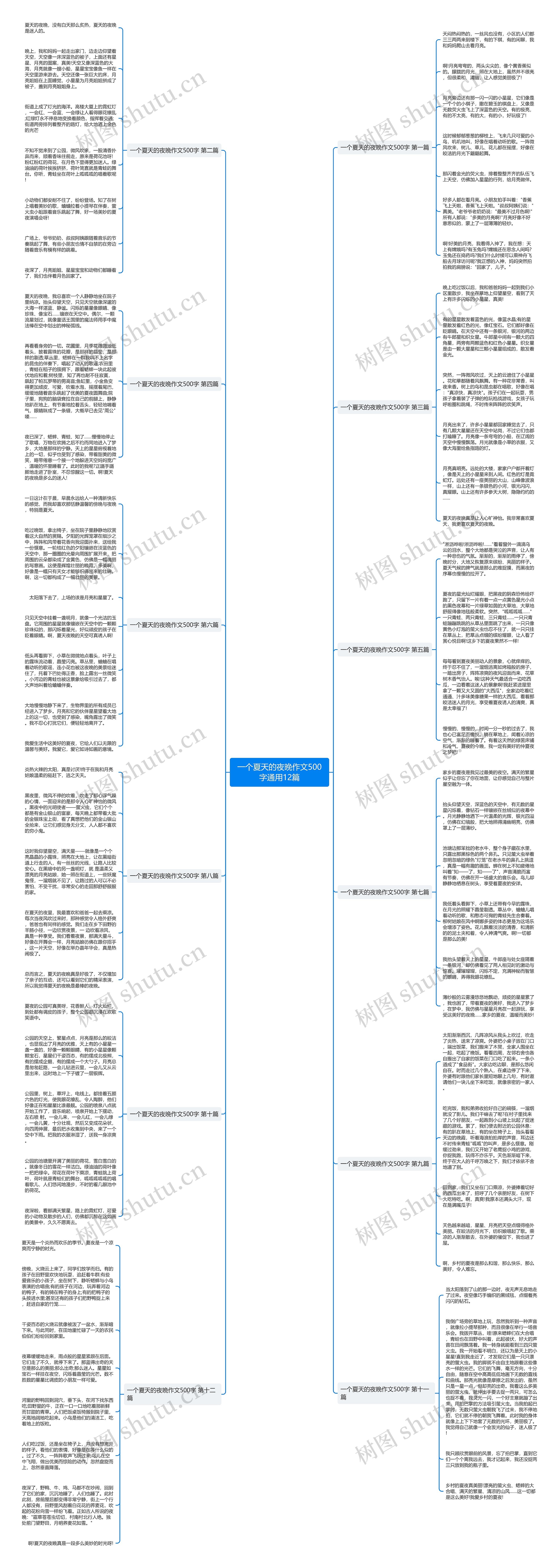 一个夏天的夜晚作文500字通用12篇思维导图