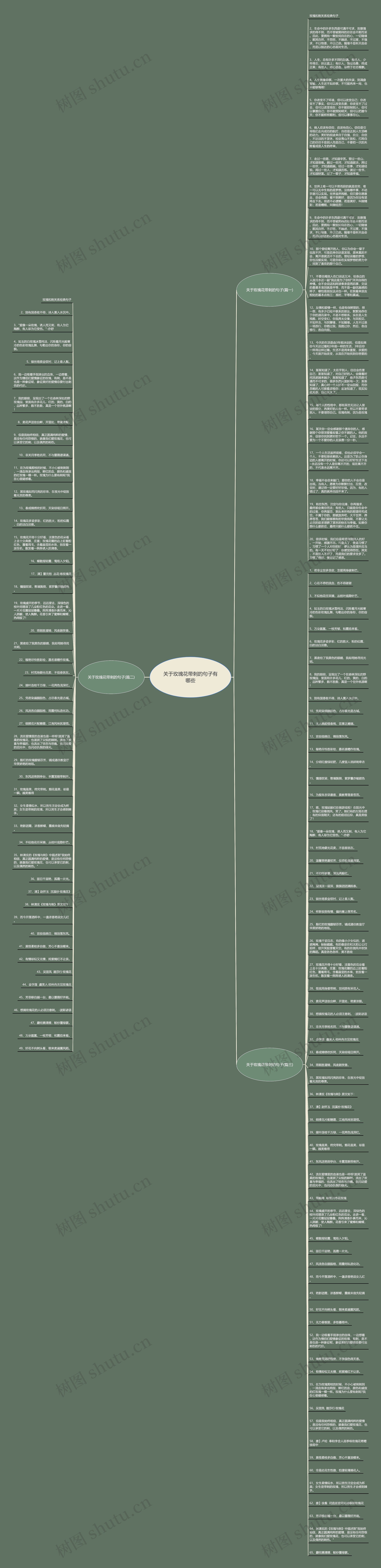 关于玫瑰花带刺的句子有哪些思维导图