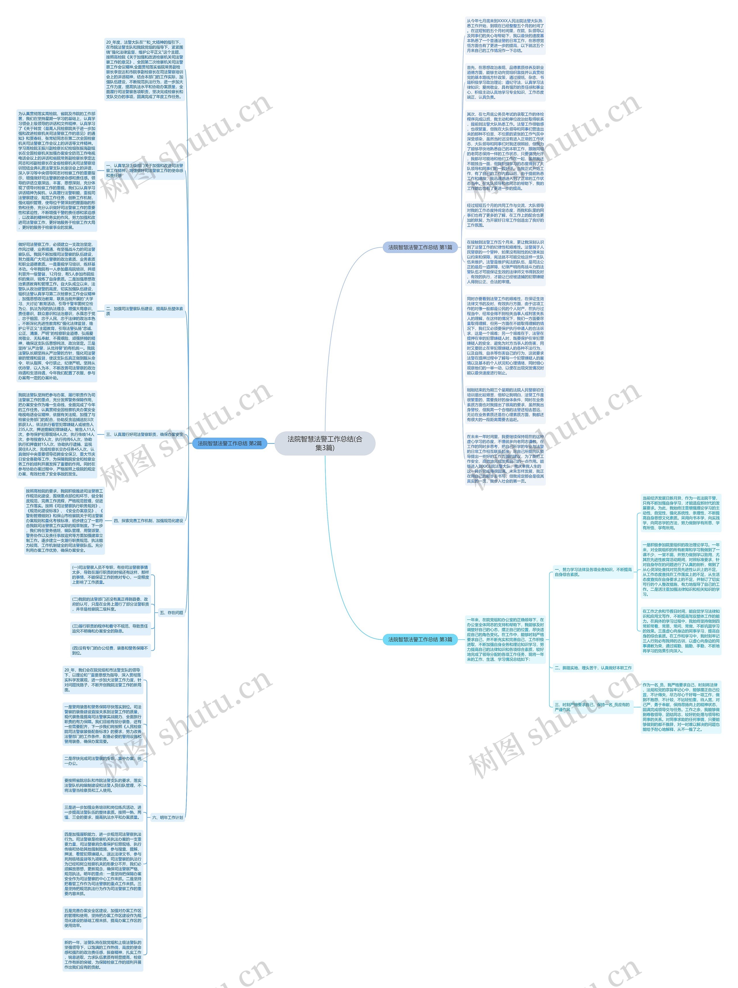 法院智慧法警工作总结(合集3篇)思维导图