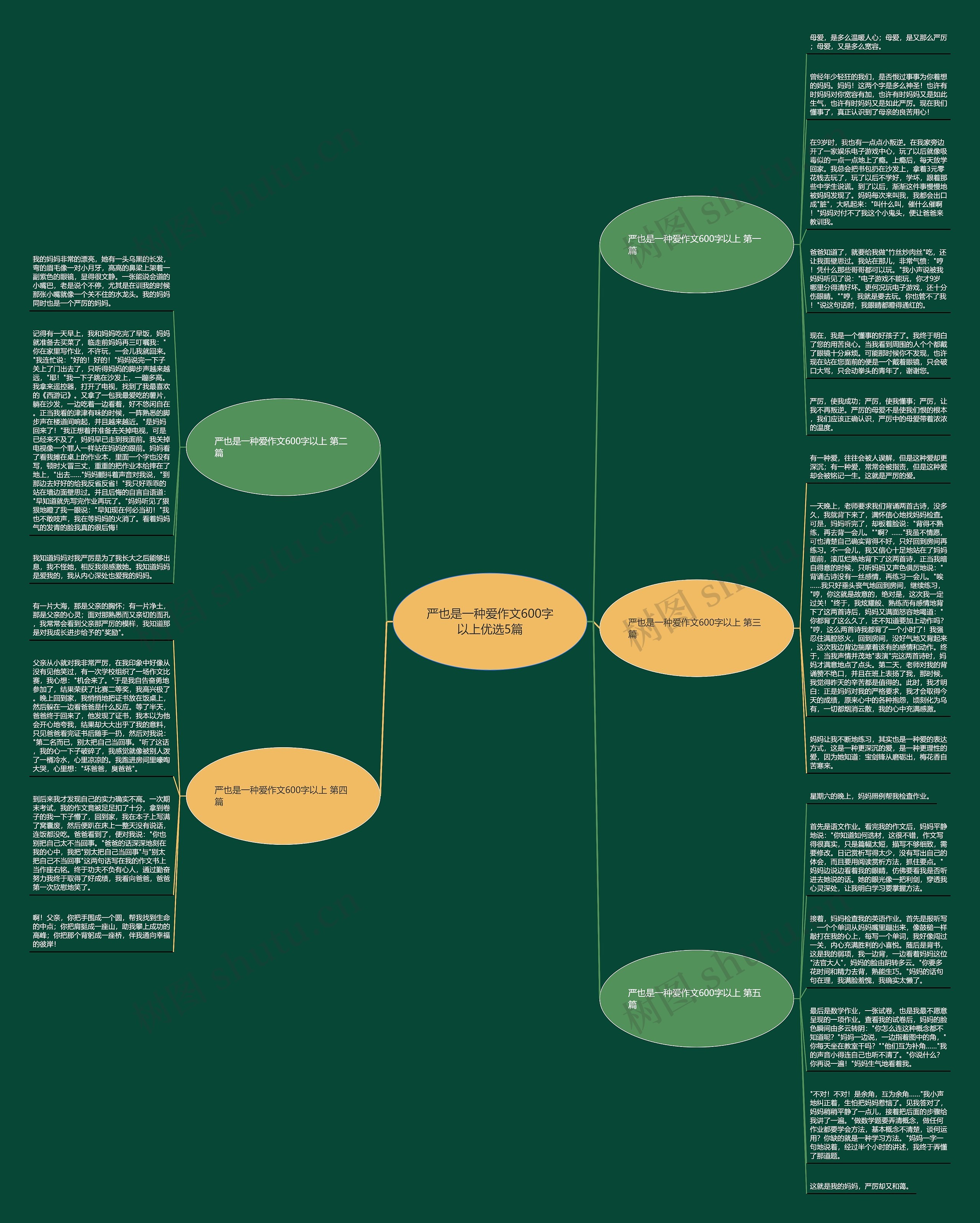 严也是一种爱作文600字以上优选5篇思维导图