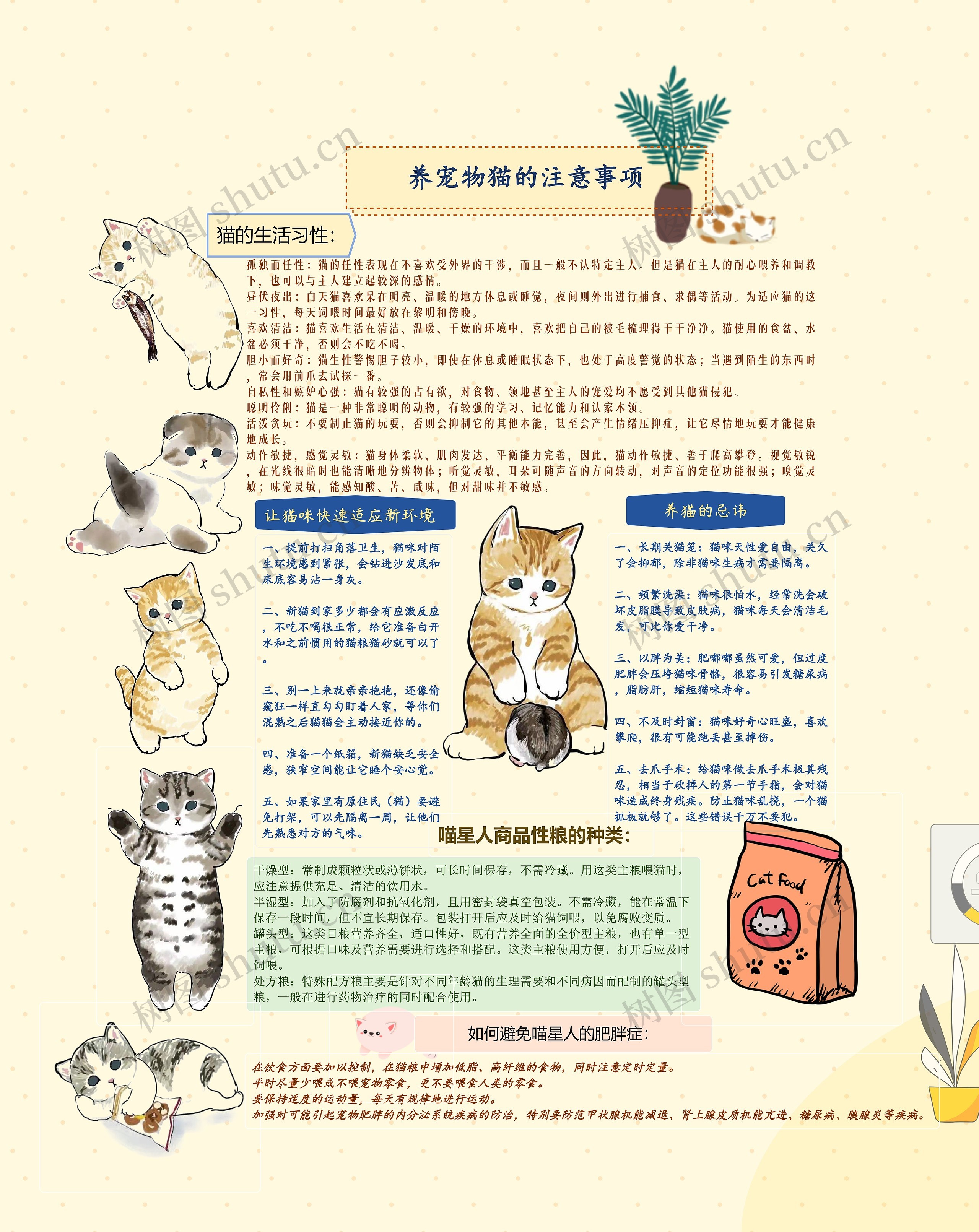养宠物猫的注意事项