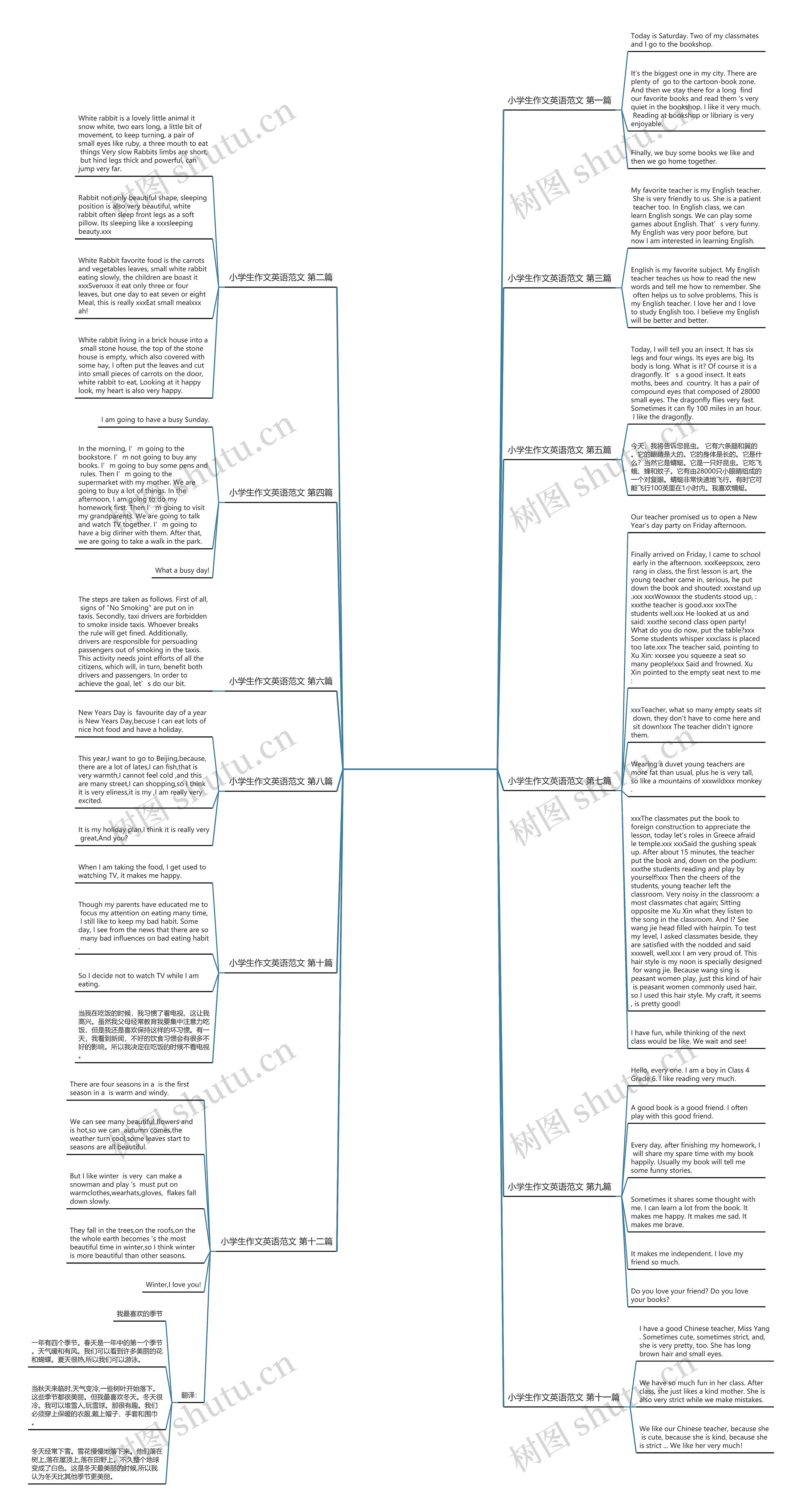 小学生作文英语范文精选12篇思维导图