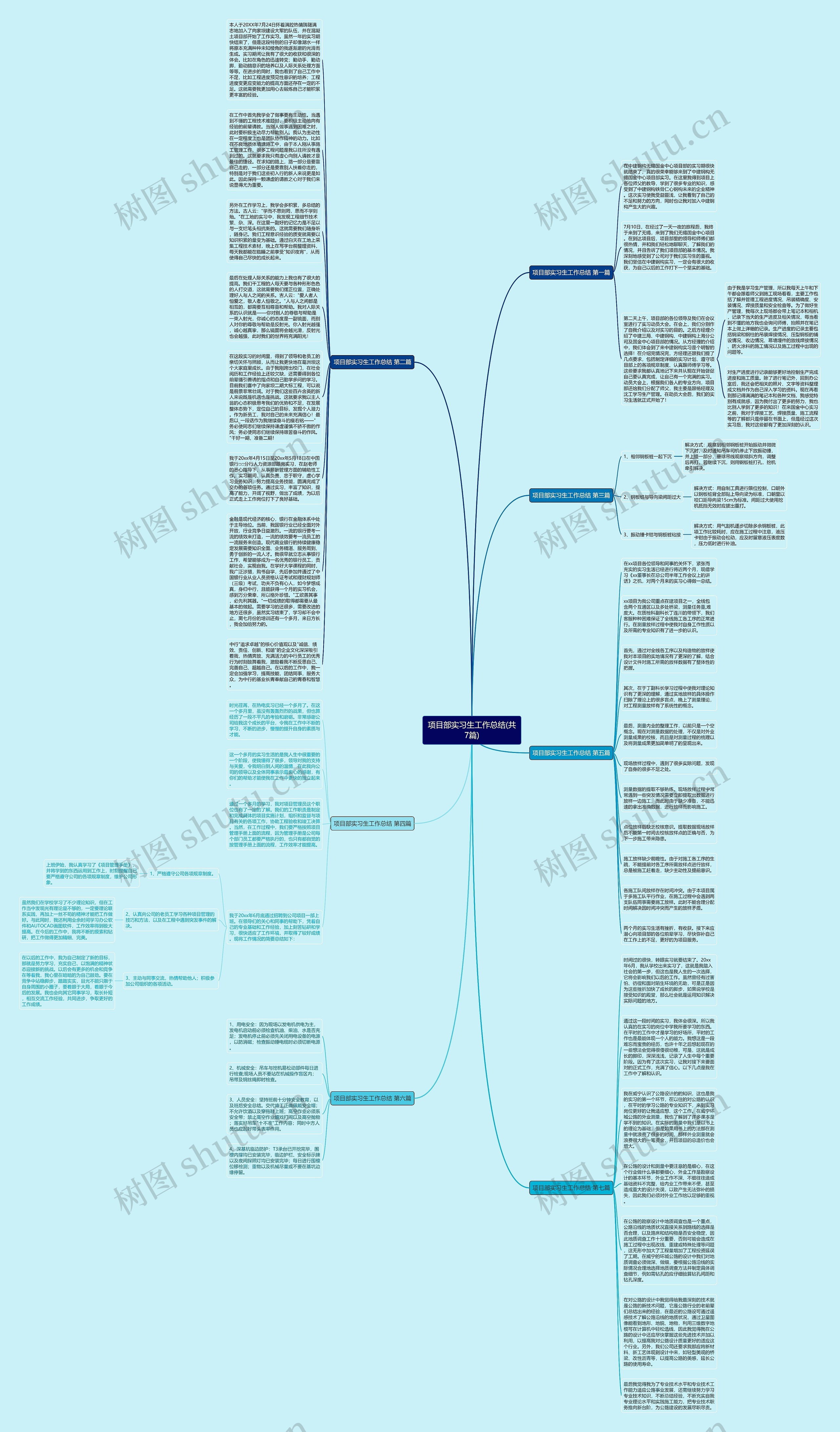 项目部实习生工作总结(共7篇)思维导图