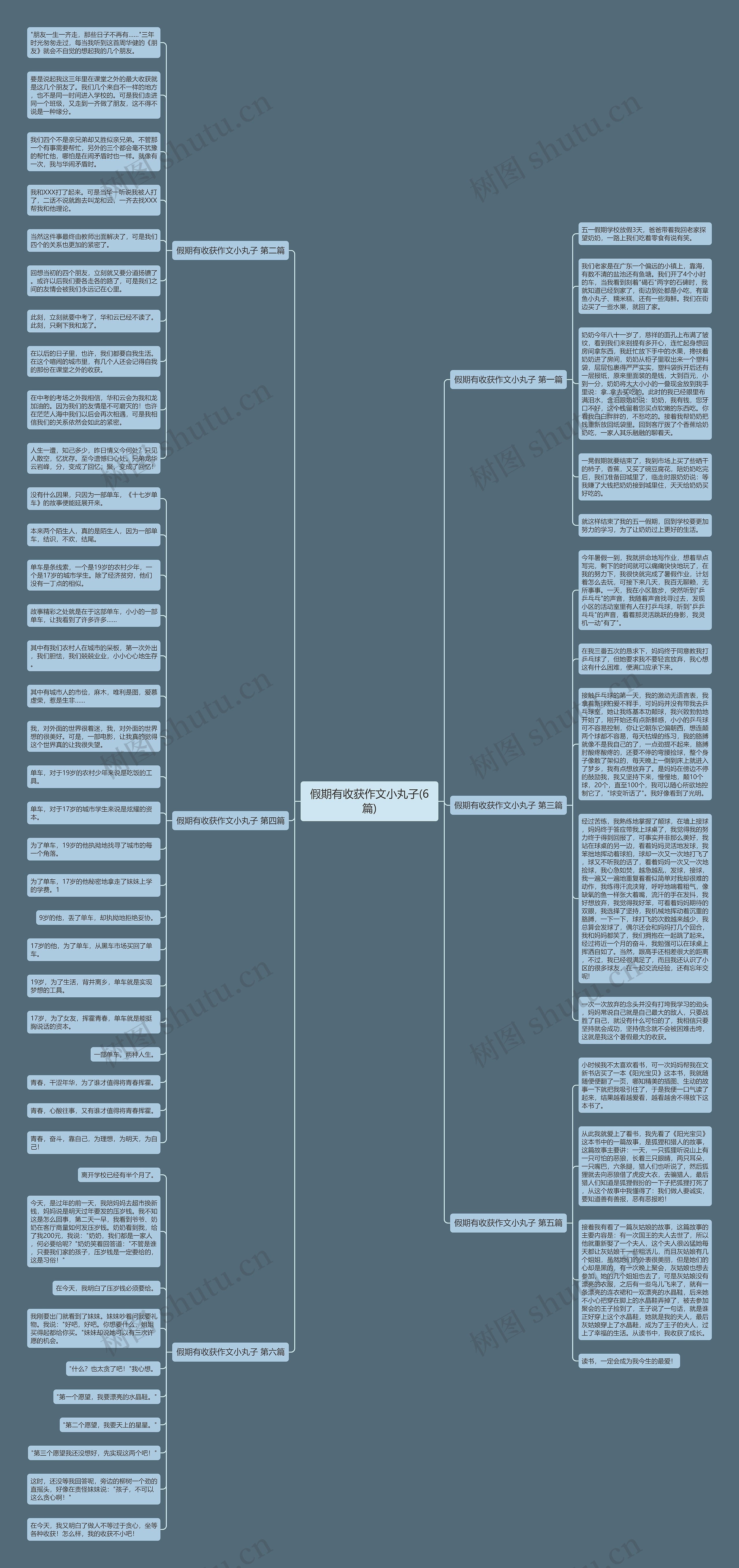 假期有收获作文小丸子(6篇) 假期有收获作文小丸子(6篇)
