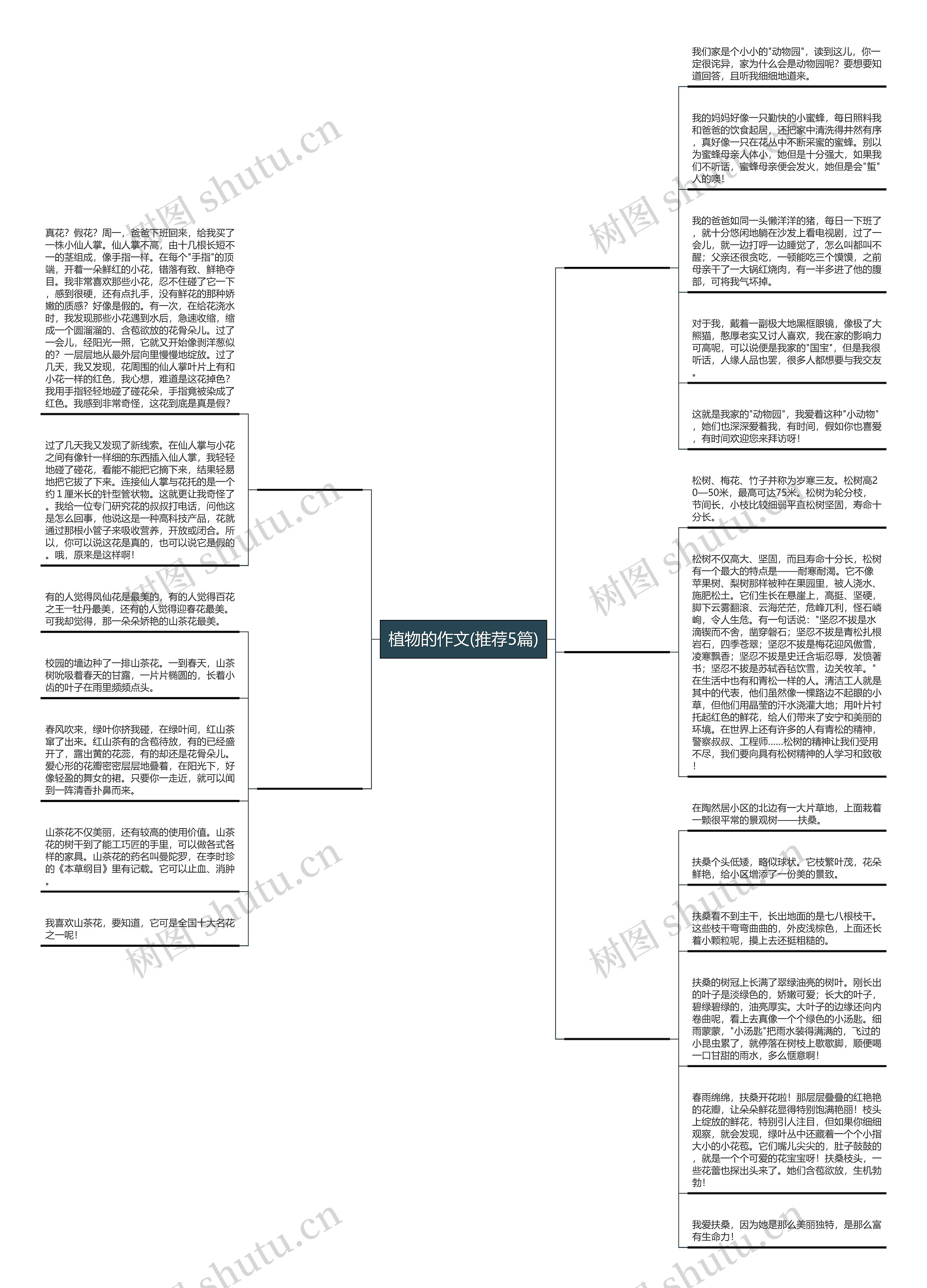 植物的作文(推荐5篇)思维导图