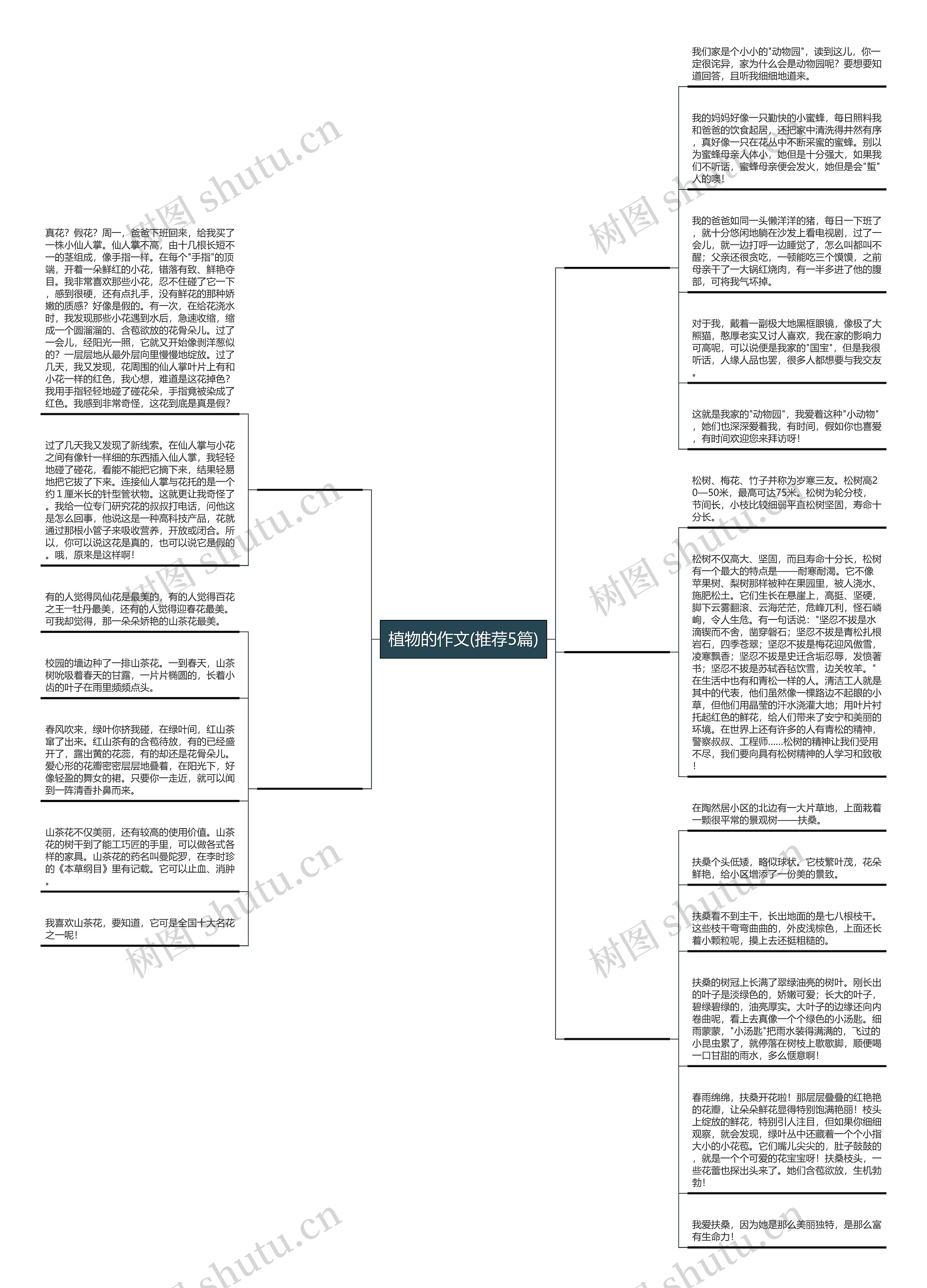 植物的作文(推荐5篇) 植物的作文(推荐5篇)
