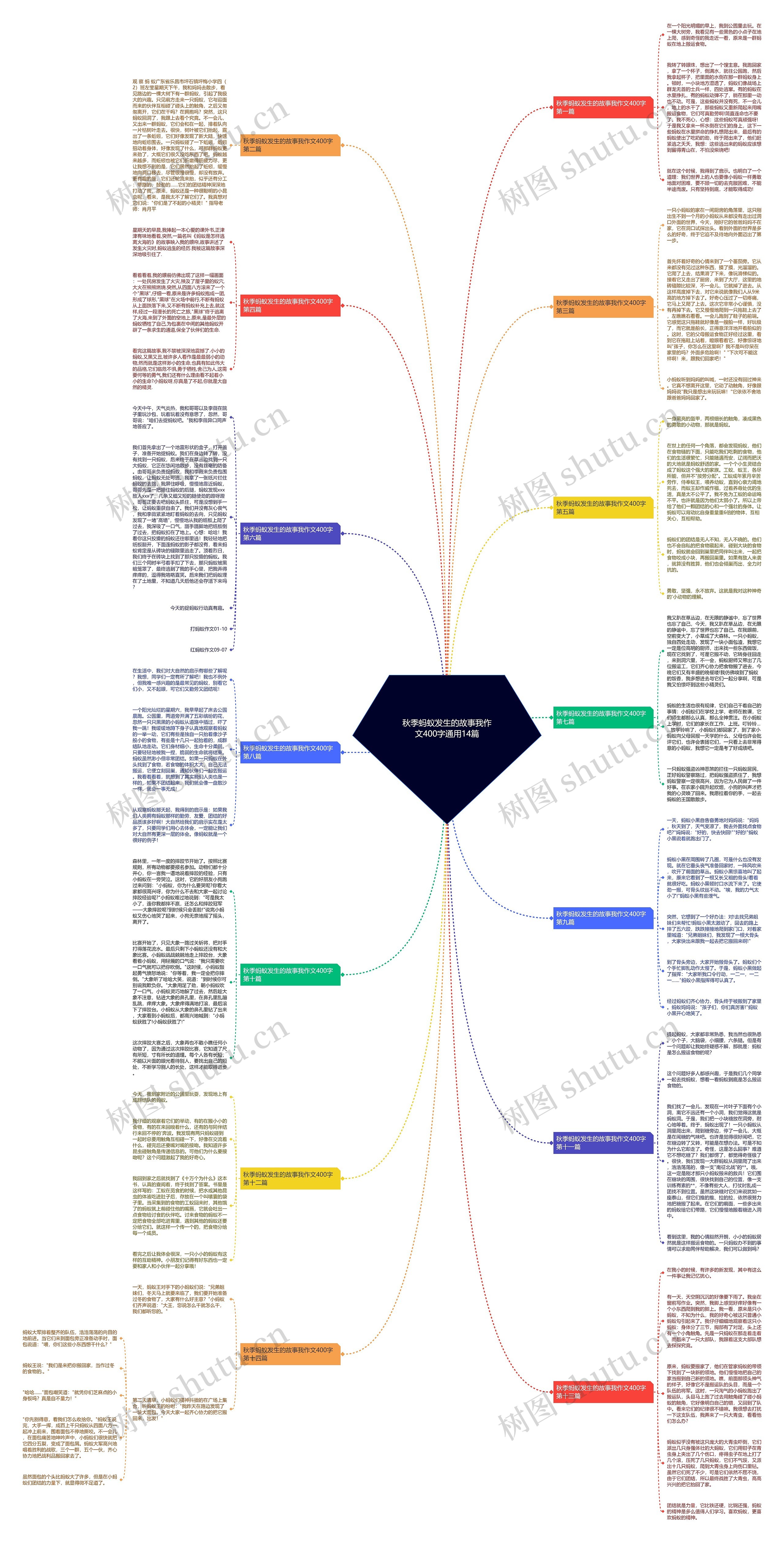 秋季蚂蚁发生的故事我作文400字通用14篇思维导图